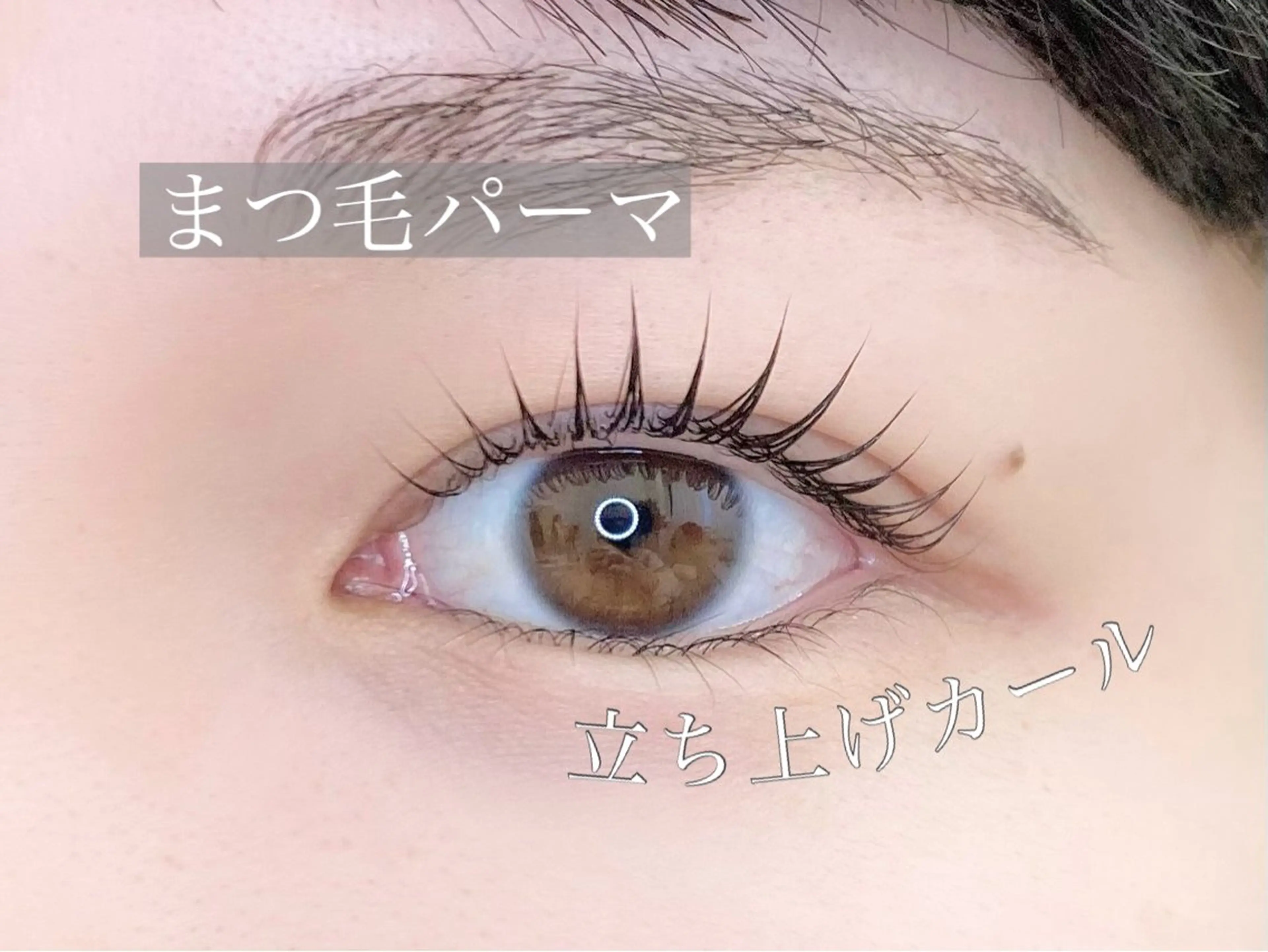 マツエク・マツパ 一重×まつ毛パーマ マツコのまつ育サロン 埼玉大宮店のマツエク・マツパデザイン