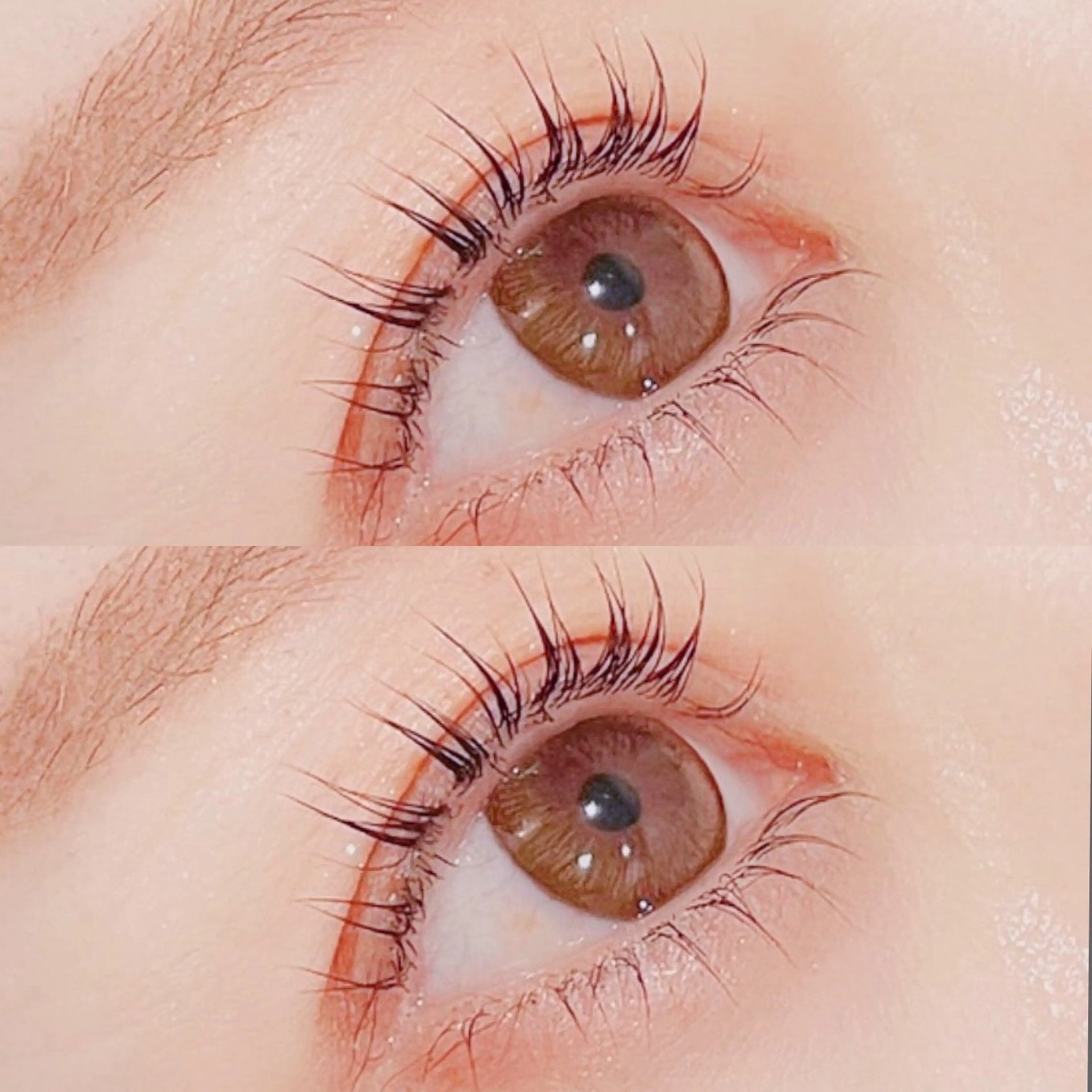 ‎🤍まつげパーマ/コスメティックラッシュリフト(コーティング込)‎¥6,000🤍の写真