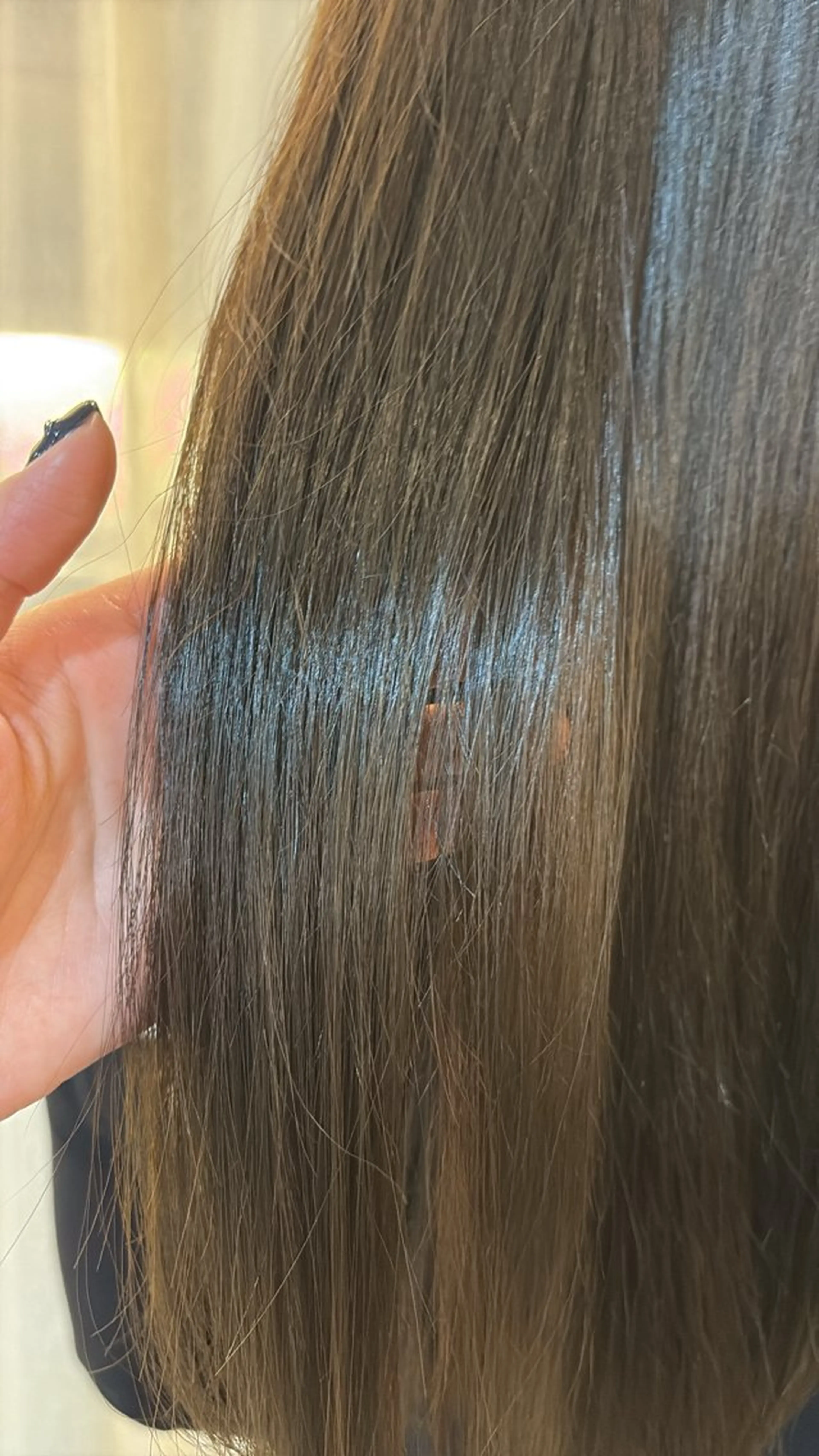 replay所属・野口 心晴のヘアスタイル