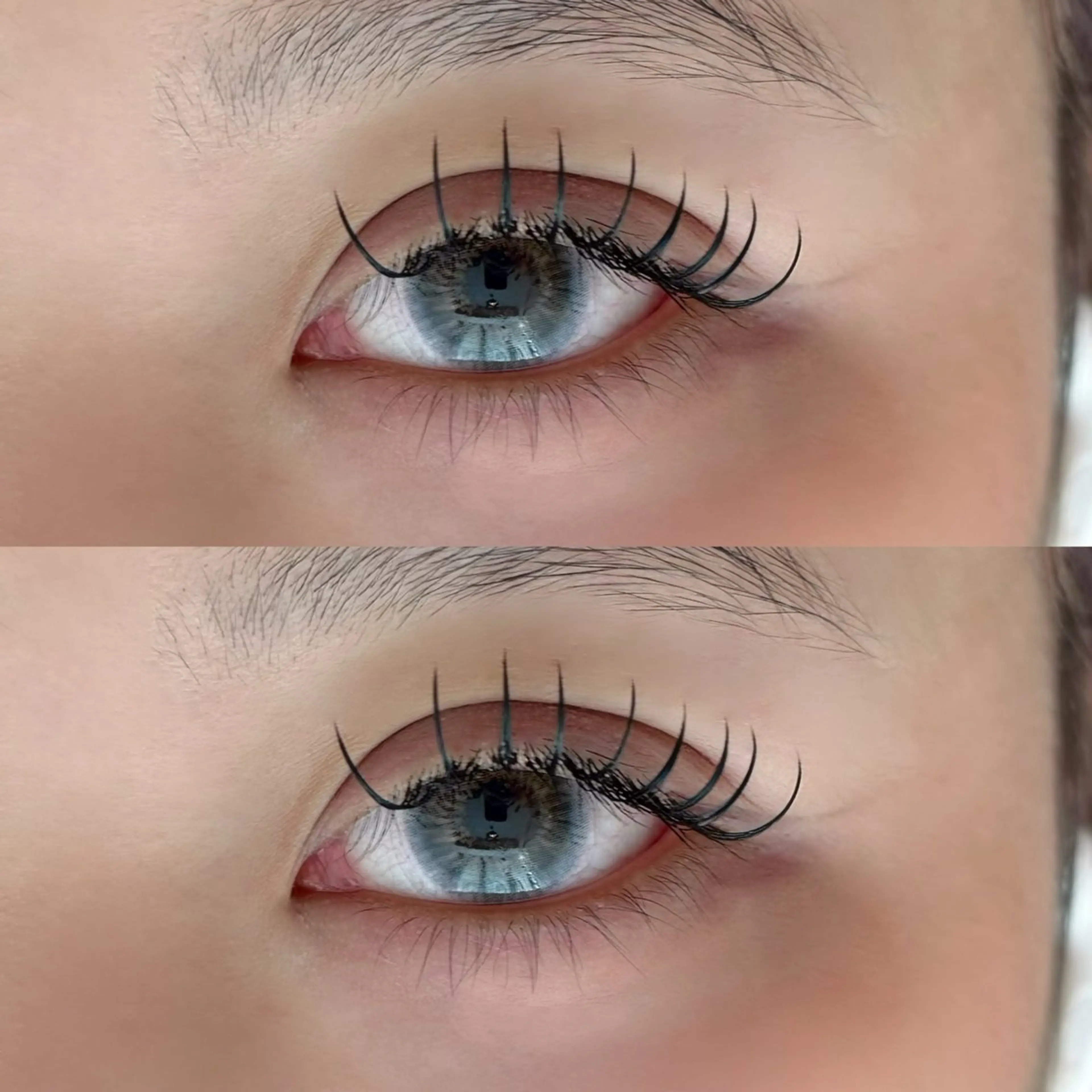 マツエク・マツパ フラットラッシュ マツエク 🐾ROAR🐾 HAZUKIのマツエク・マツパデザイン