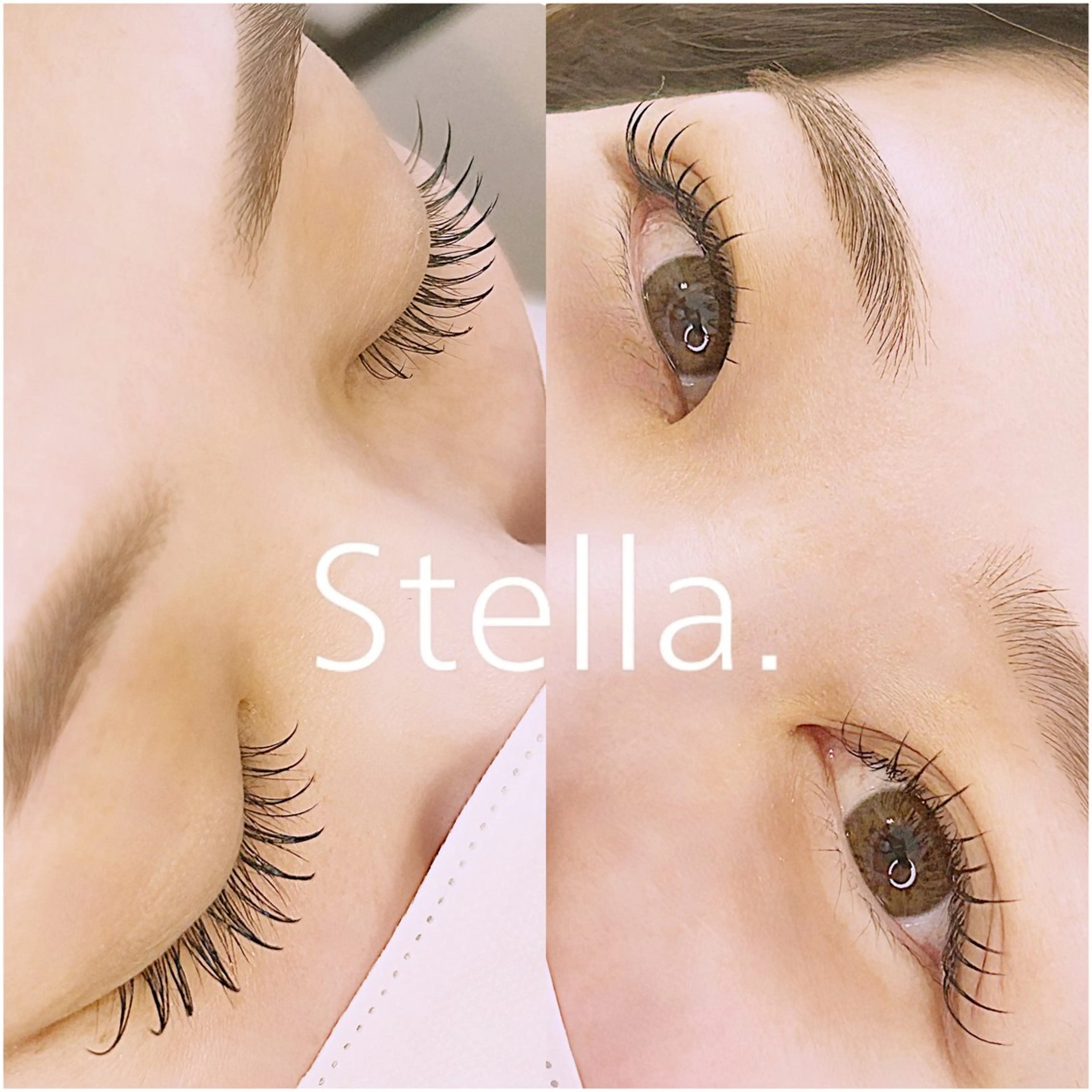 マツエク・マツパ フラットラッシュ Stella.✨ Ikedaのマツエク・マツパデザイン