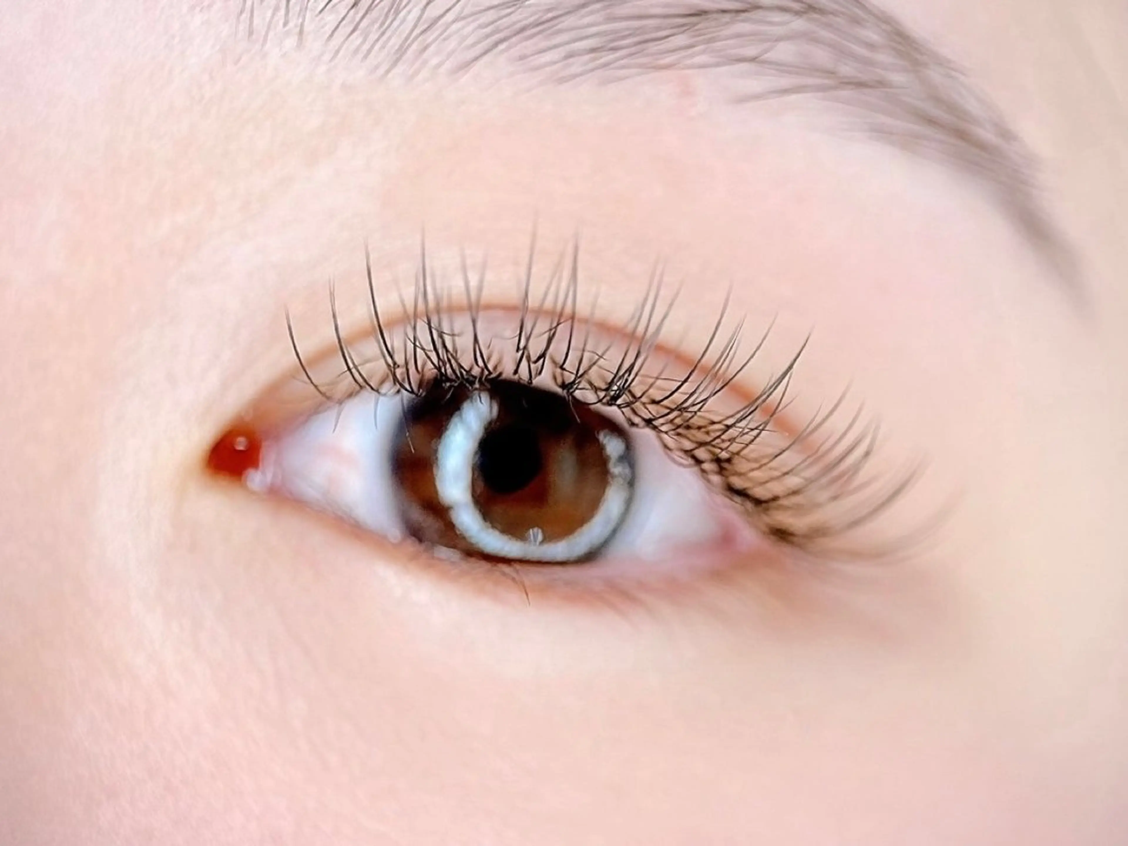 マツエク・マツパ フラットラッシュ AYA 【eyelash】のマツエク・マツパデザイン