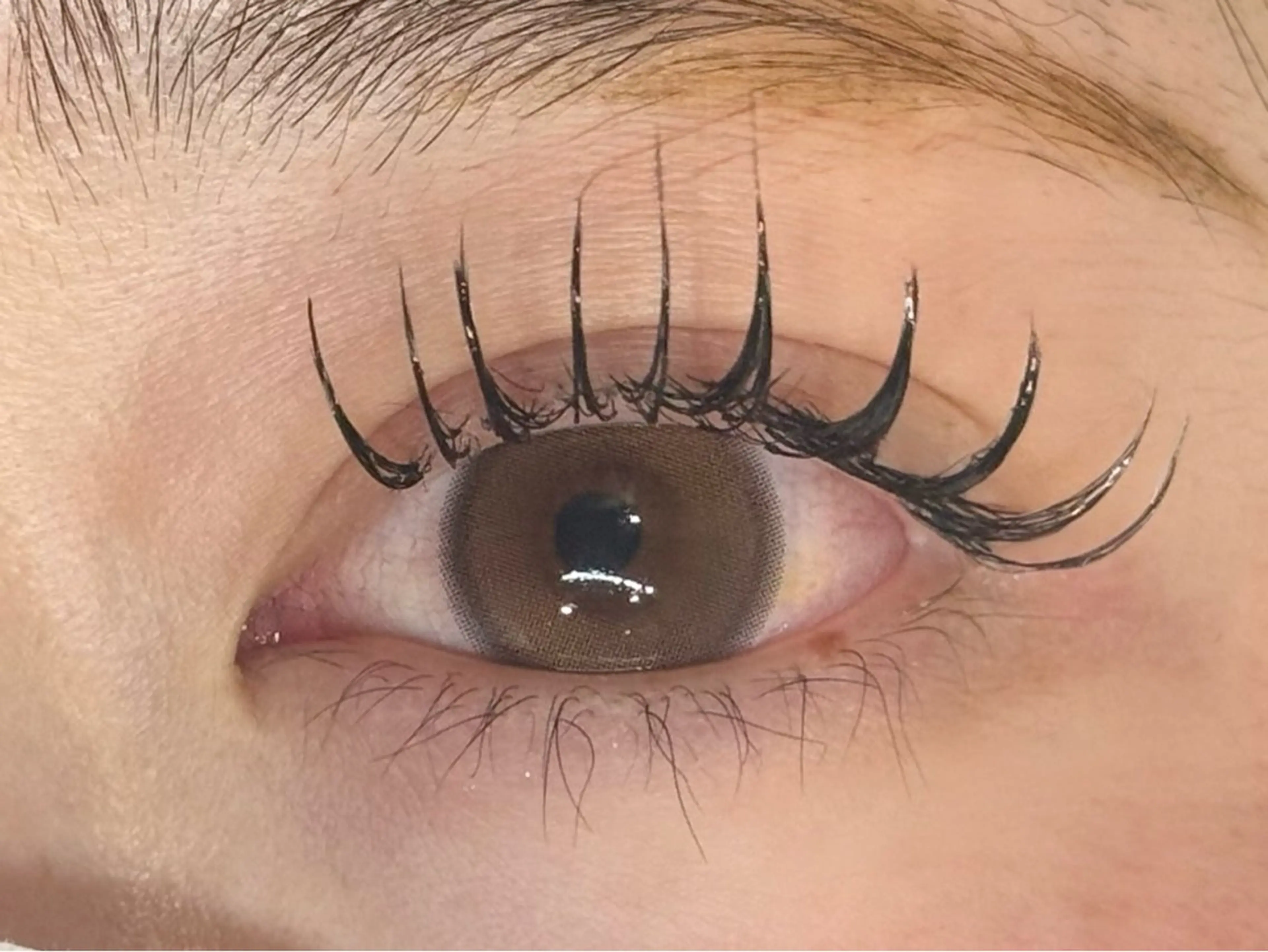 オフなし/セーブルorフラットラッシュ​〜​120本⚠️muk.金沢八景限定⚠️現金不可⚠️の写真