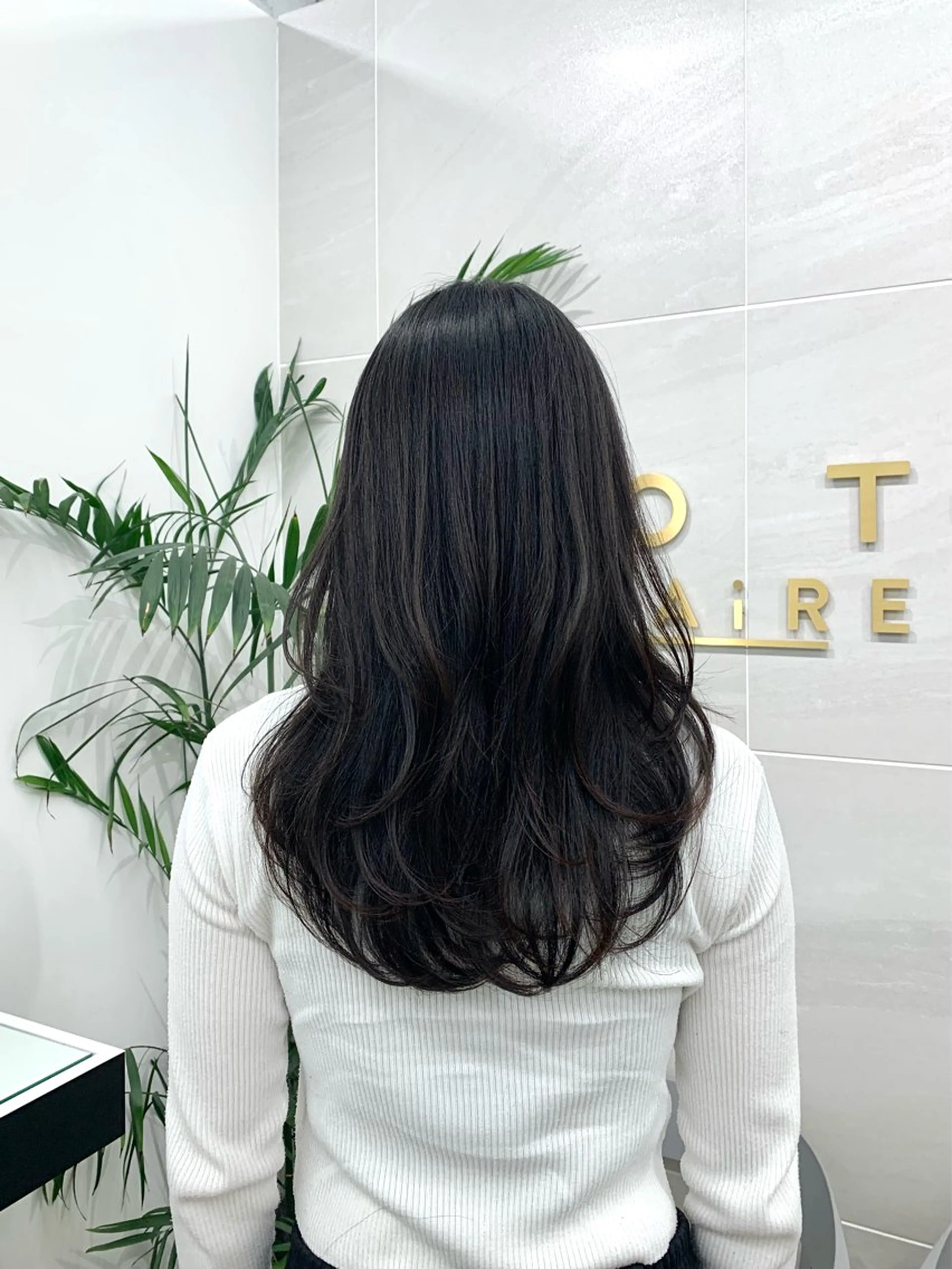 セミロング レイヤーカット カット トリートメント 本格ヘッドスパ🌿 ×ヘア 佐藤のヘアスタイル