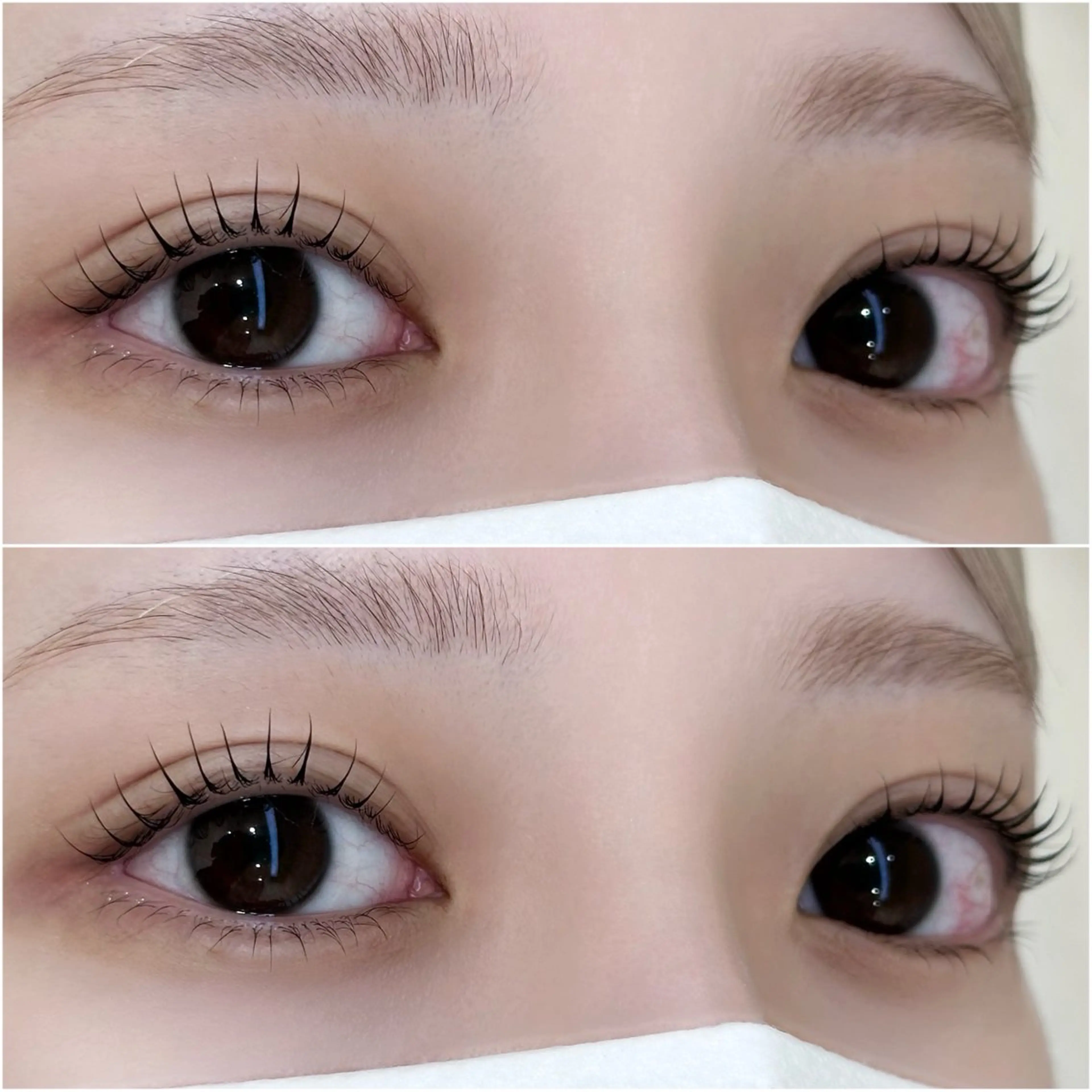 マツエク・マツパ Eyelash＆Eyebrow salon plume所属・アイドルまつげ 作ります💗うららのマツエク・マツパデザイン