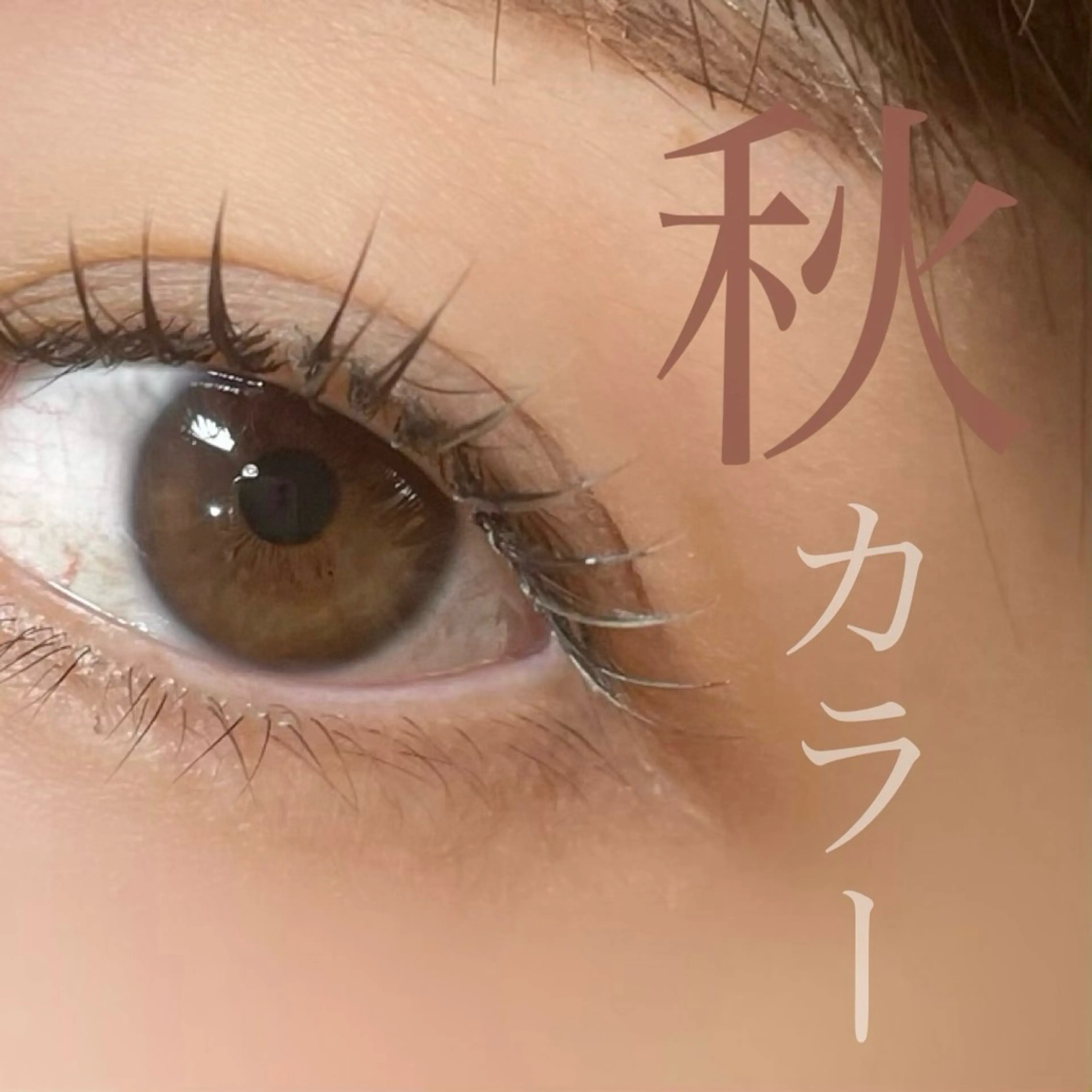 マツエク・マツパ salut ayakaのマツエク・マツパデザイン