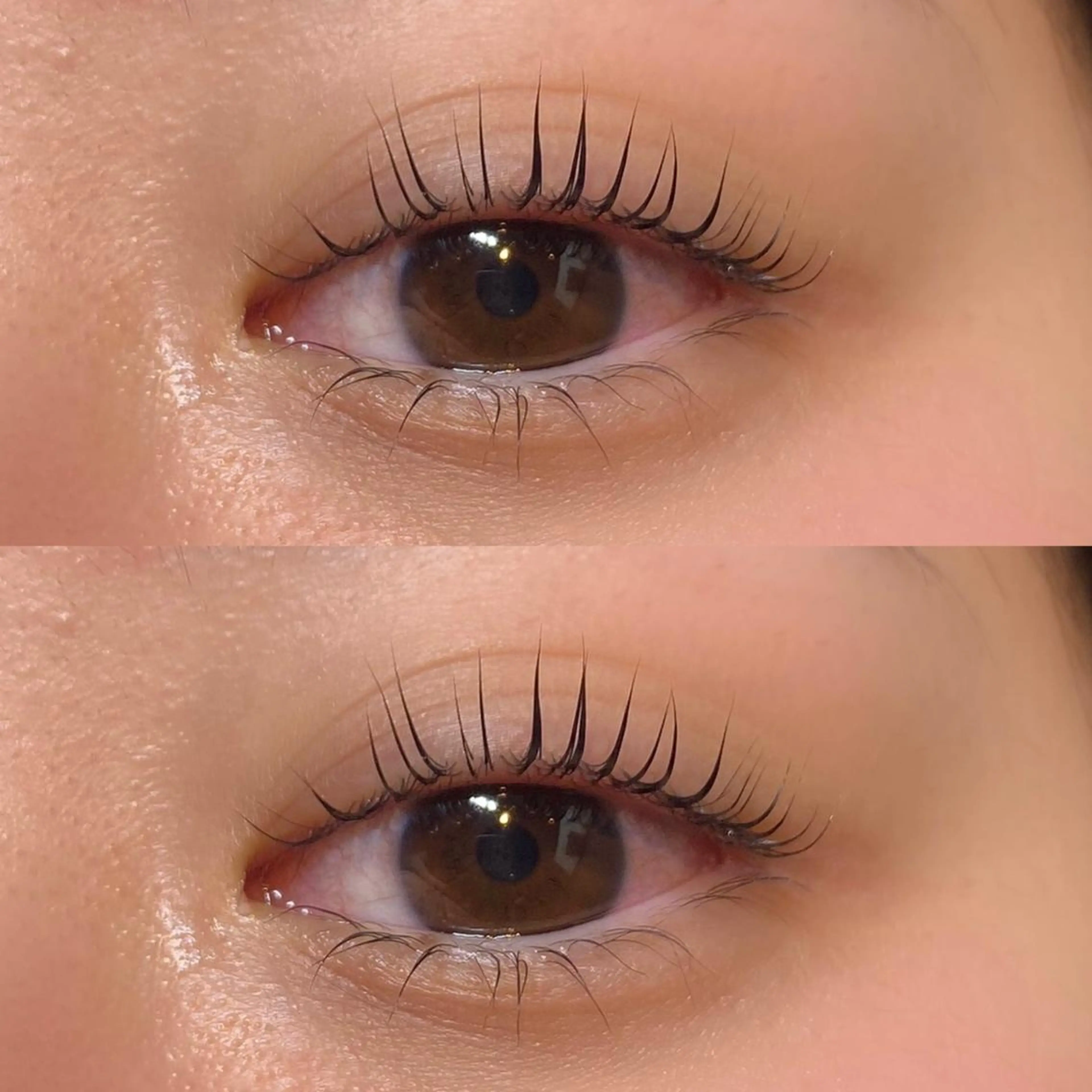 ラッシュリフト上下👀コーティング付き🫧の写真