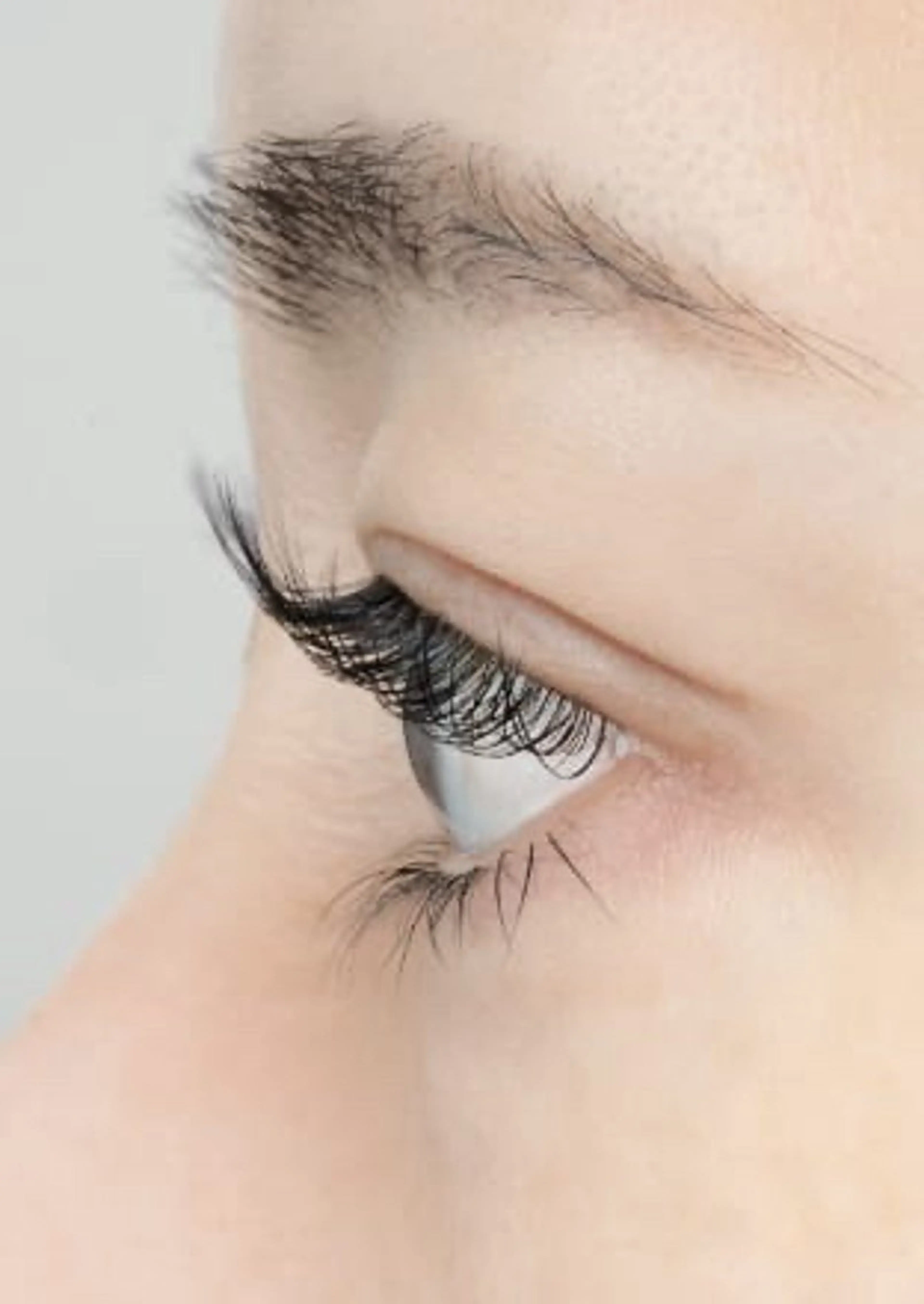 マツエク・マツパ Lカール Girasol所属・Girasol ヒラソルのマツエク・マツパデザイン