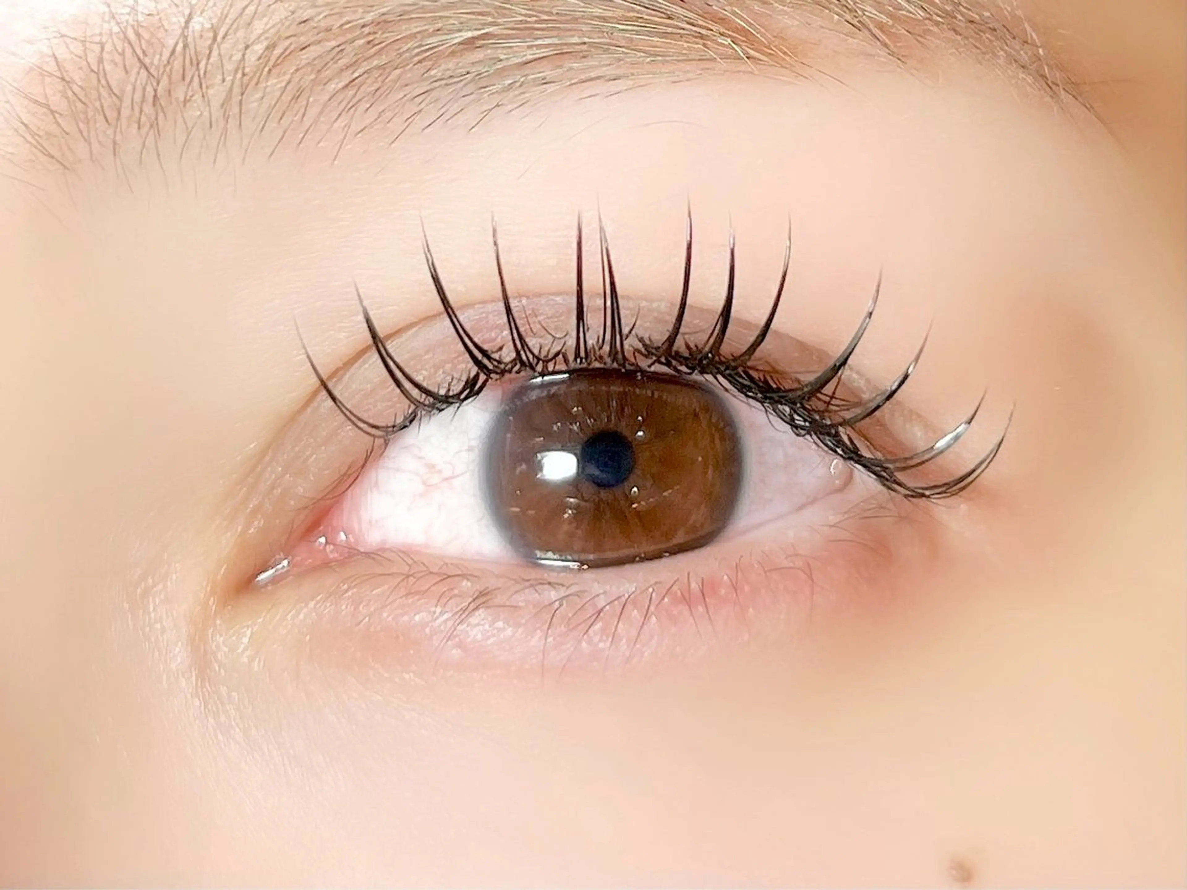 マツエク・マツパ Cカール フラットラッシュ sola: neolive熊田のマツエク・マツパデザイン