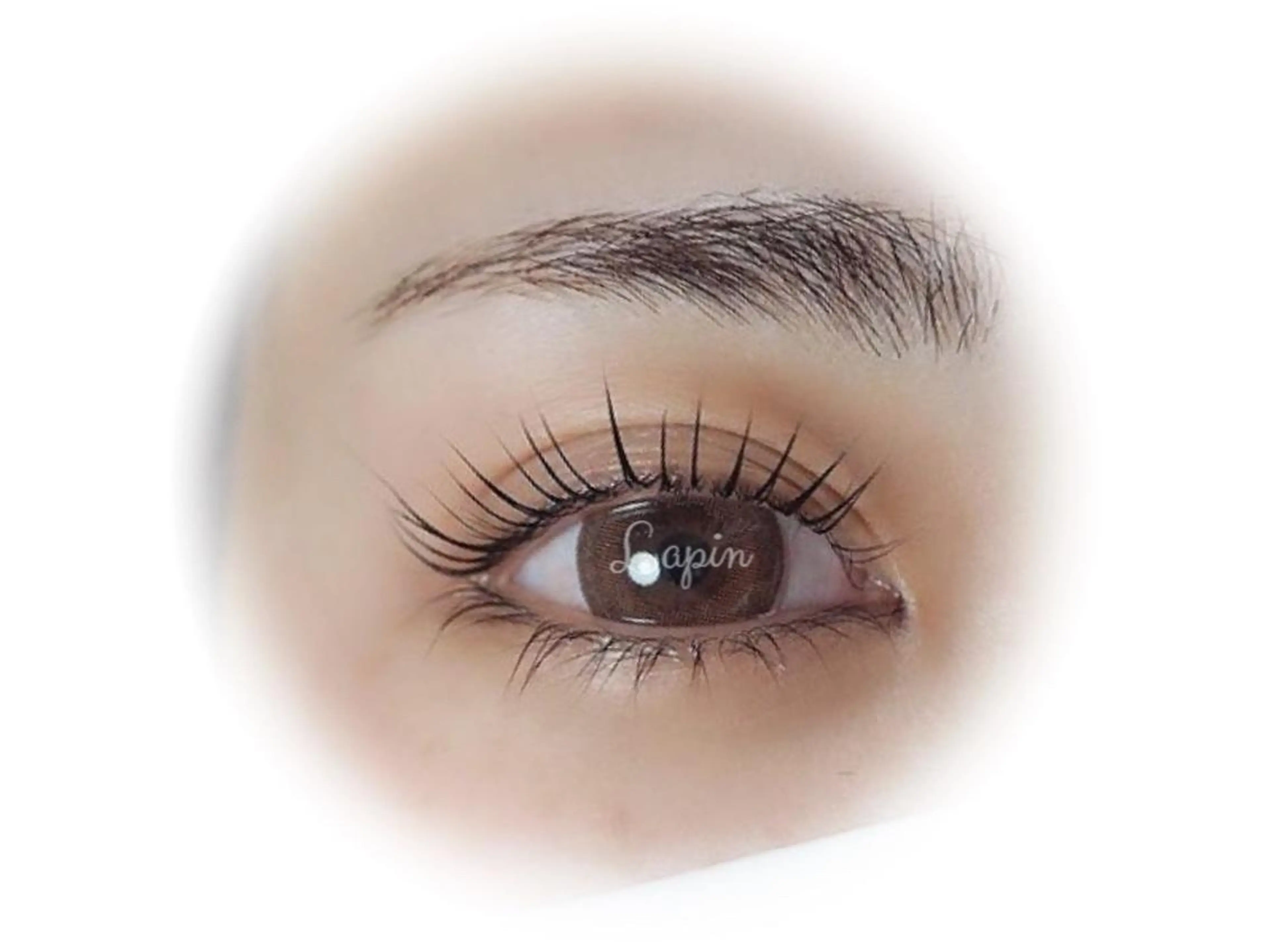 マツエク・マツパ Lapin【ラパン】所属・Lapin ラパンのマツエク・マツパデザイン