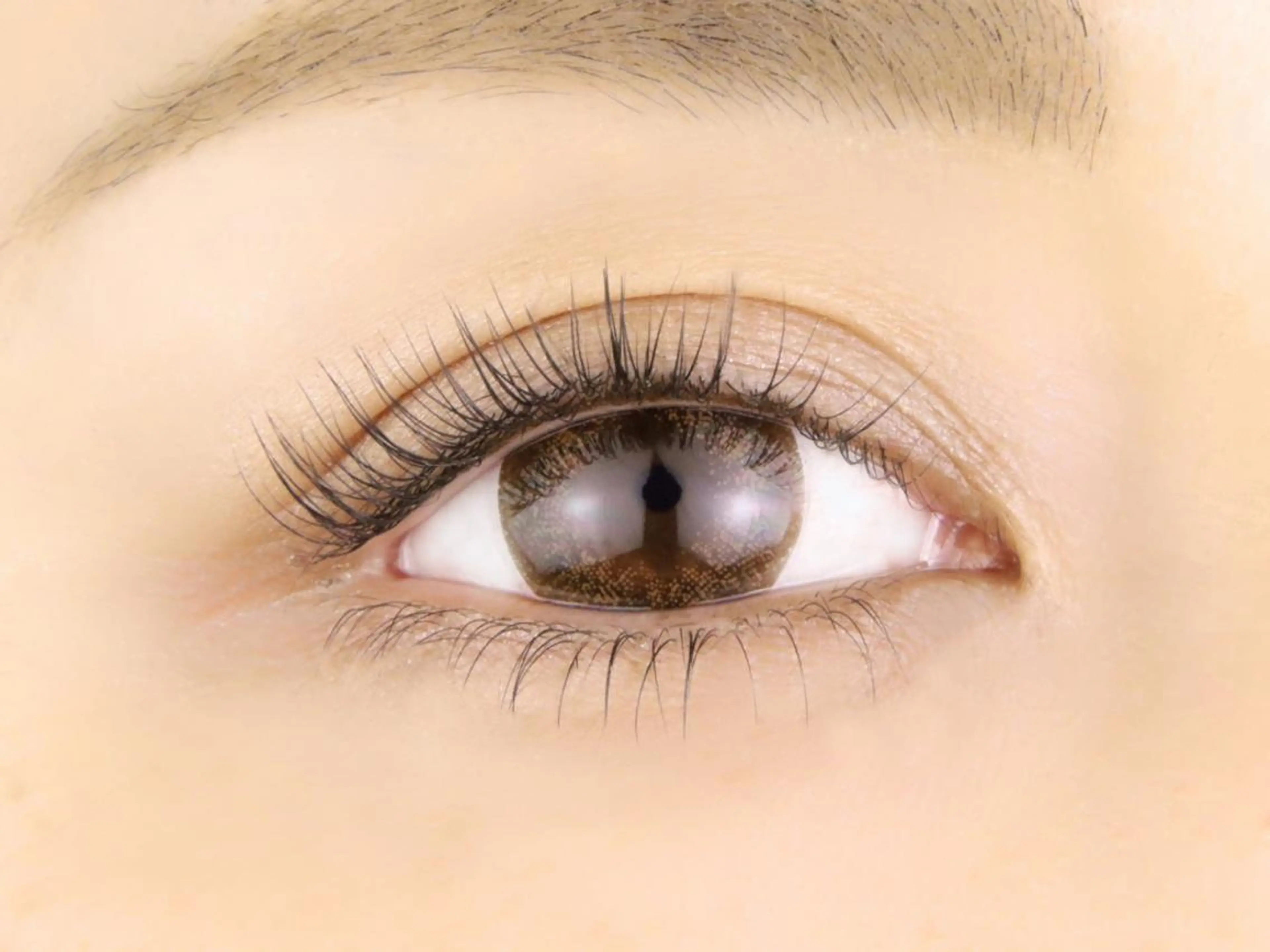 マツエク・マツパ 向井 萌華の眉毛・アイブロウイメージ