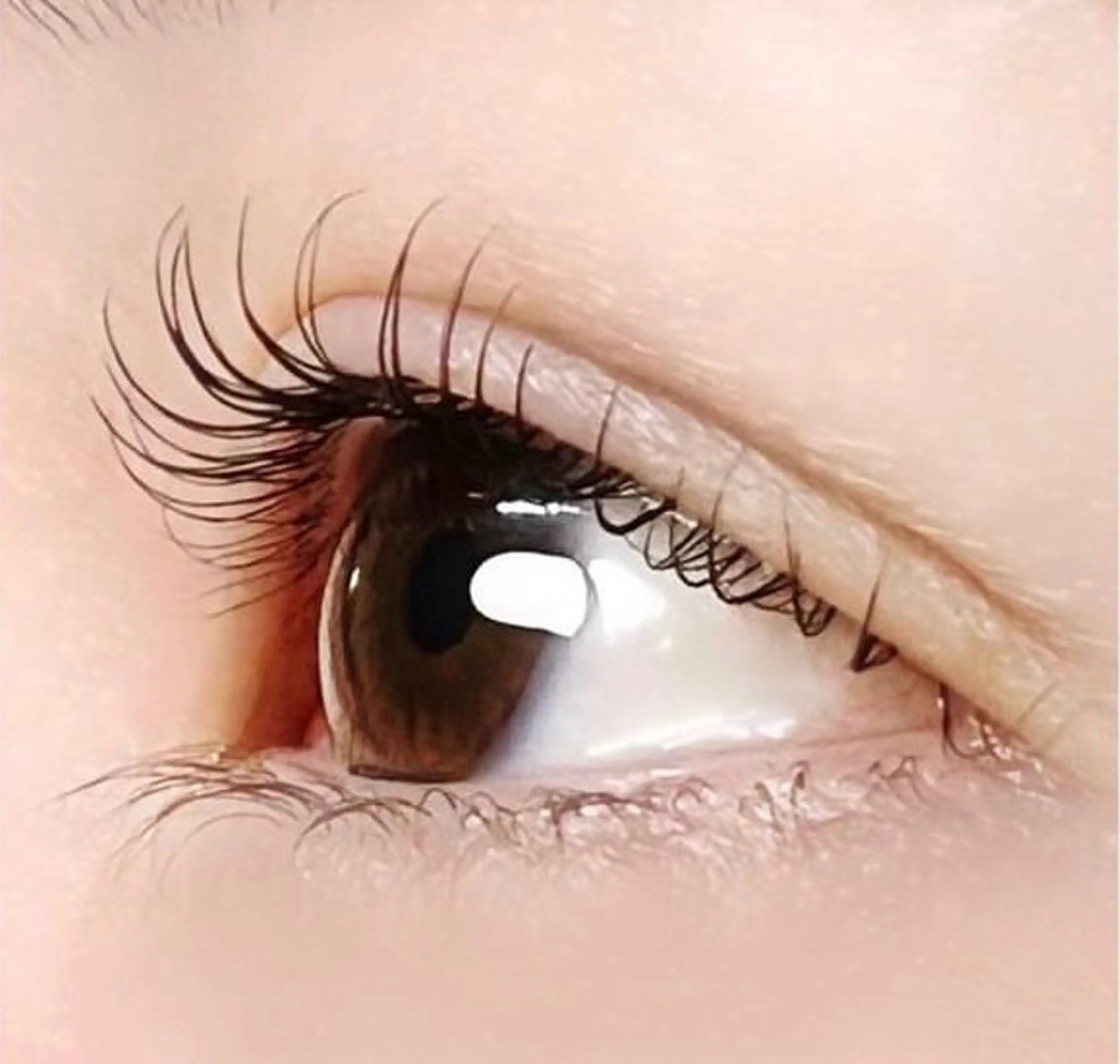 マツエク・マツパ 一重×まつ毛パーマ 自まつ毛を大切にする まつ毛Ｐのマツエク・マツパデザイン