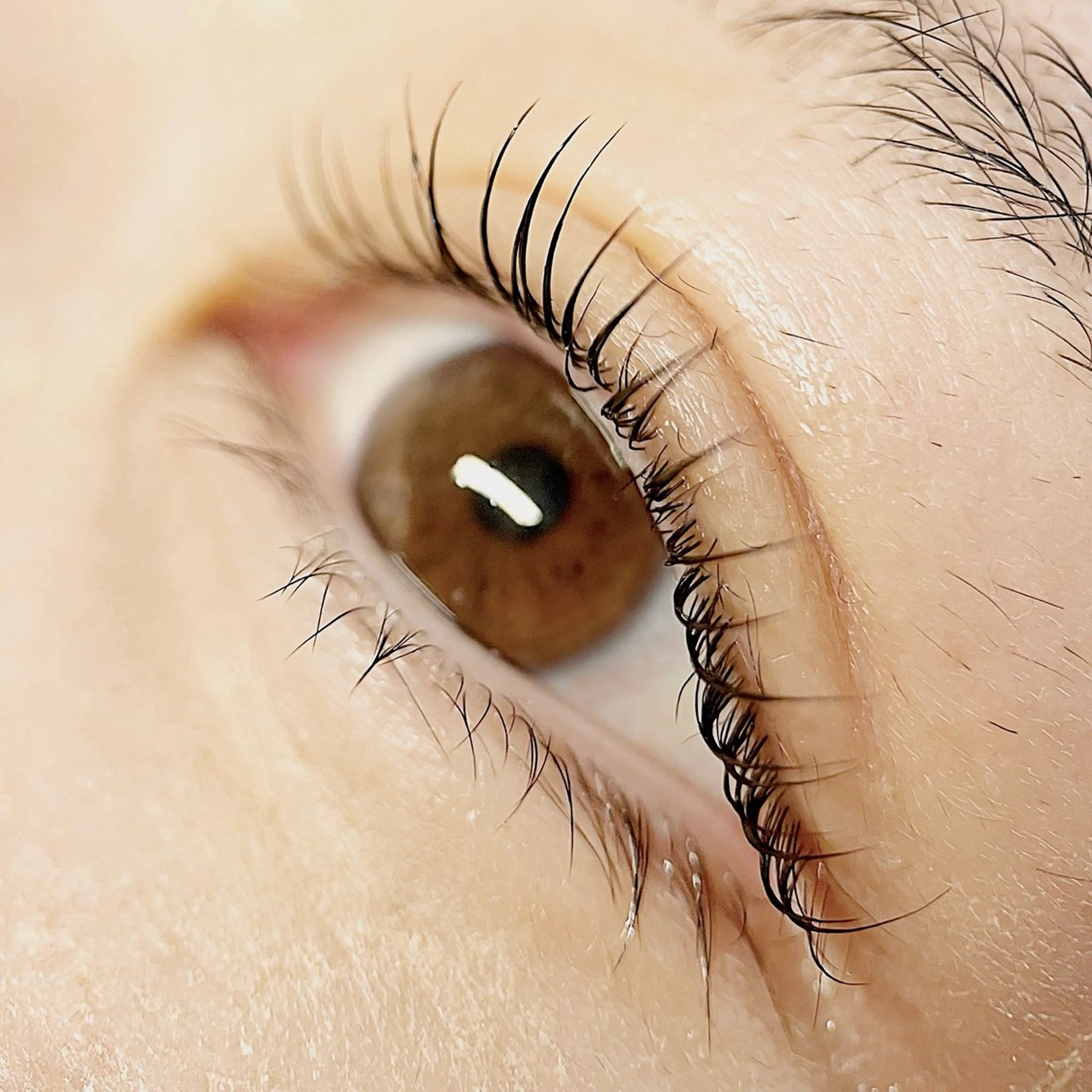 【モニター様限定】高持続&毛質改善ダメージレスまつげカールの写真