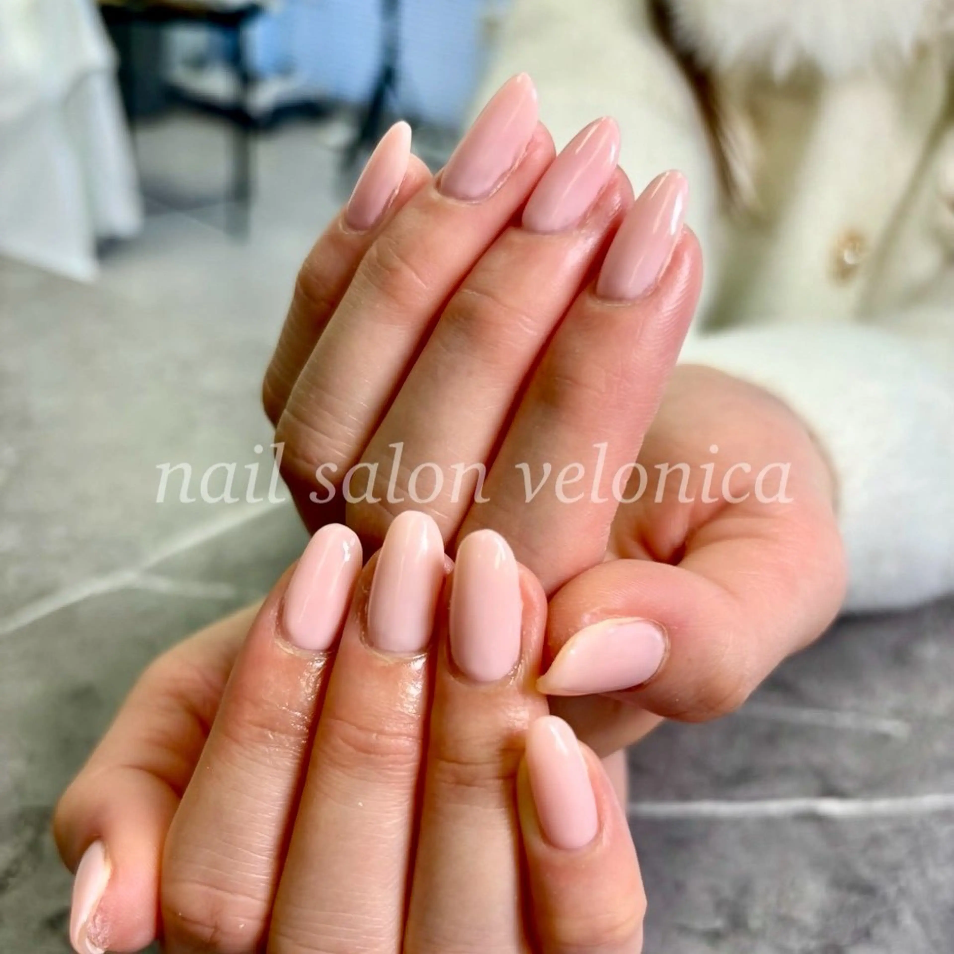 ワンカラーの写真