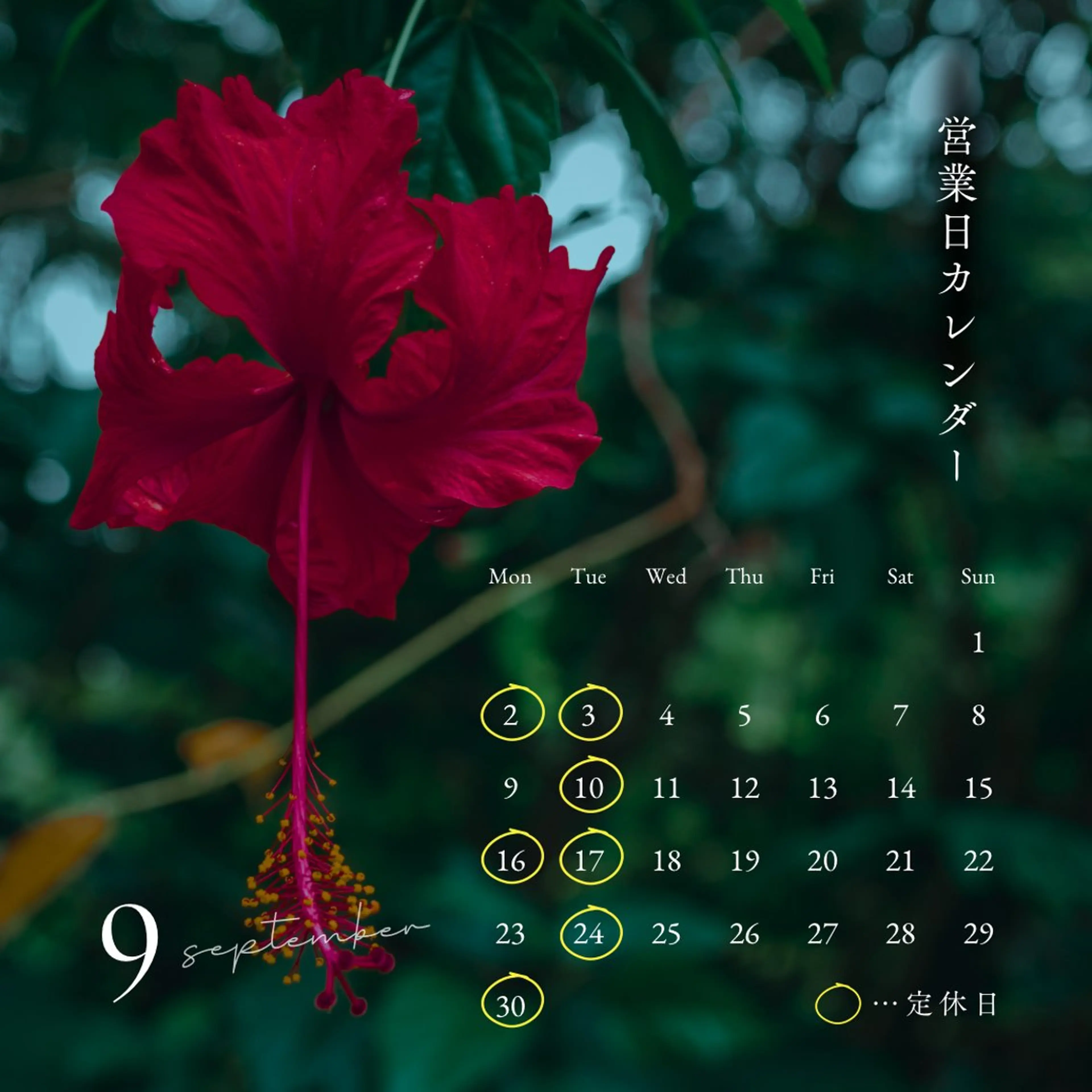 頭と体の休息庵いろは 店長のエステ・リラクイメージ