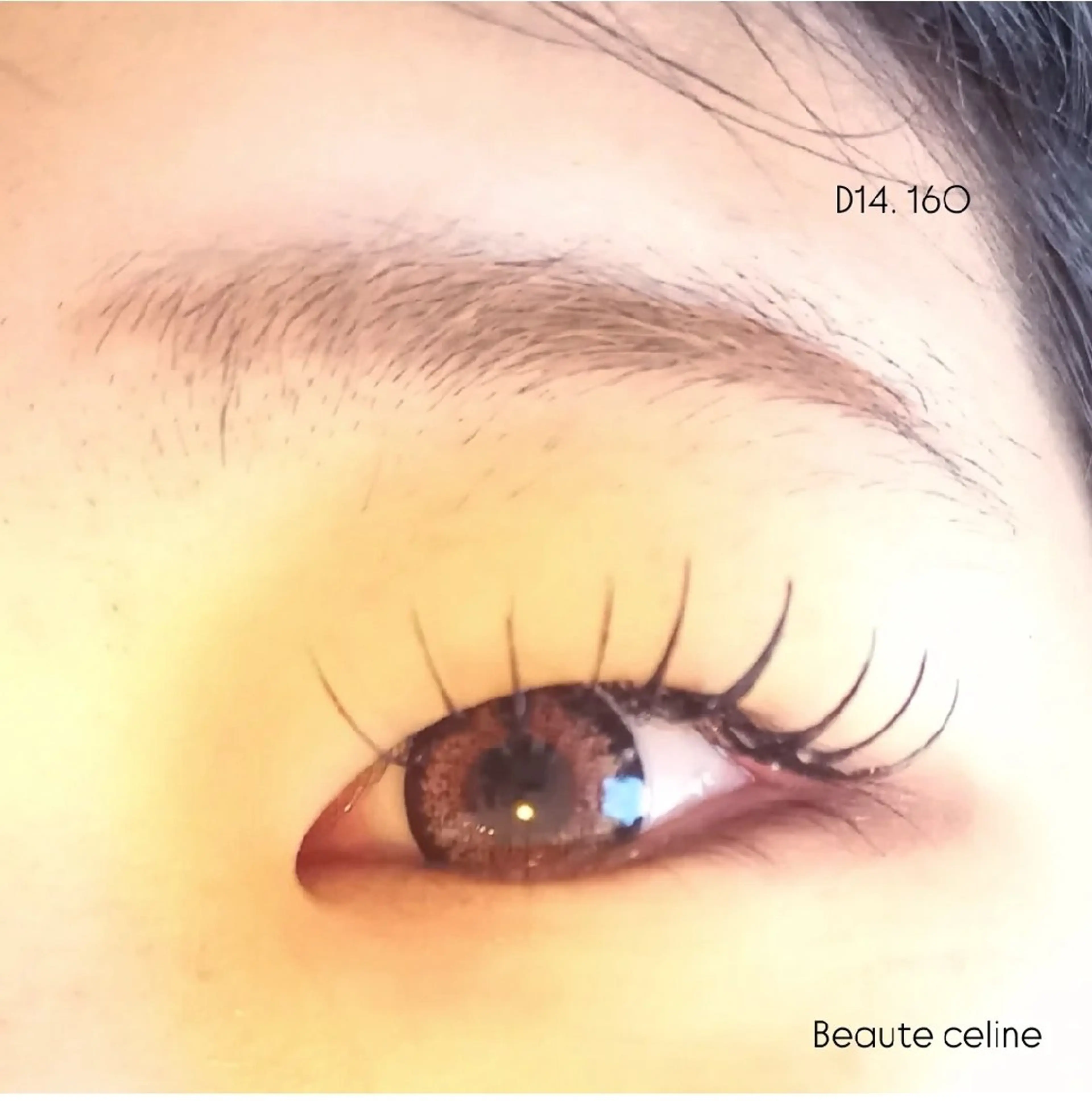 マツエク・マツパ マツエク beaute.celine所属・8時～✨beaute Celine🌛🌹のマツエク・マツパデザイン