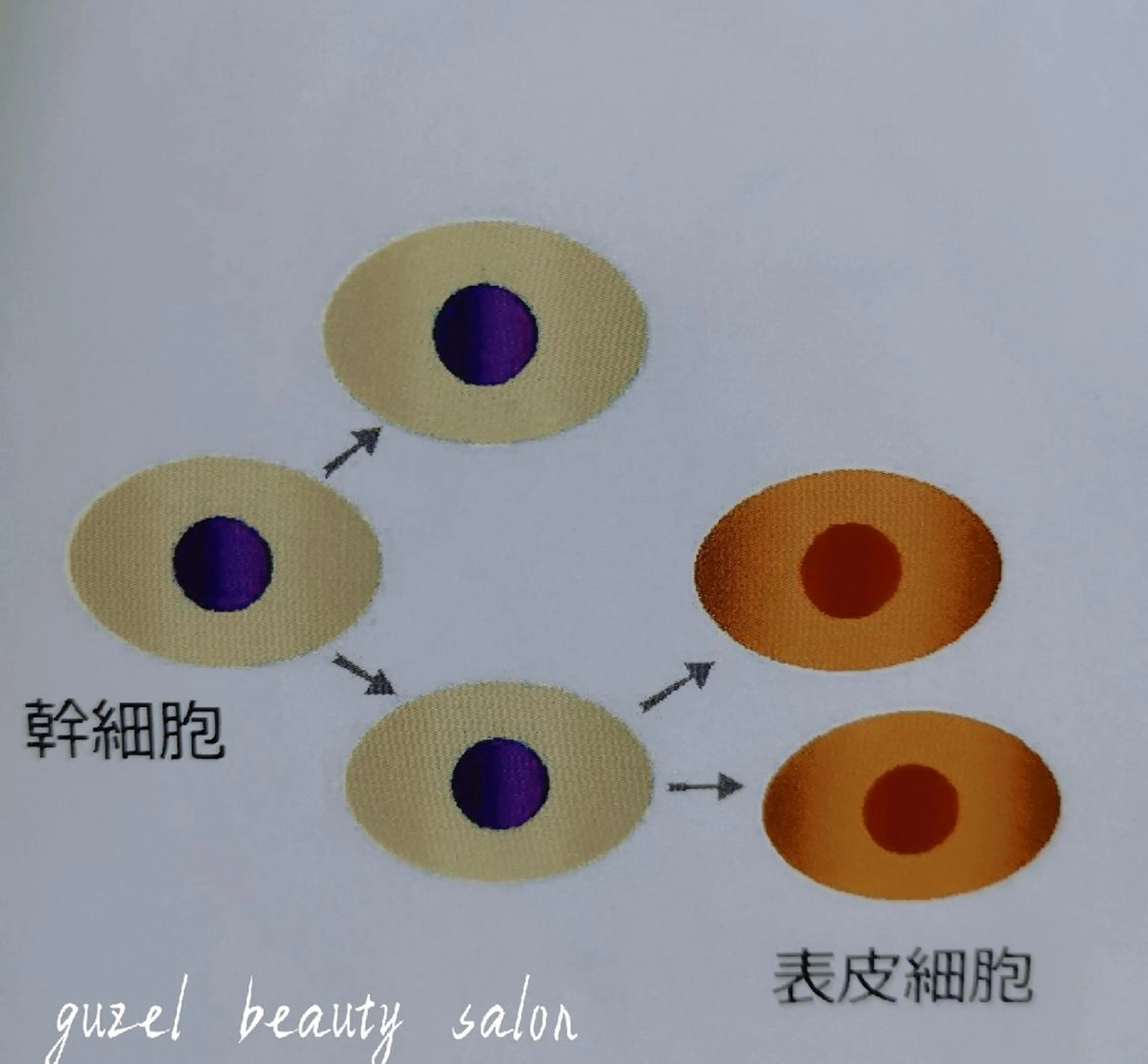 エステ 🅖🅤🅩🅔🅛 salonのエステ・リラクイメージ