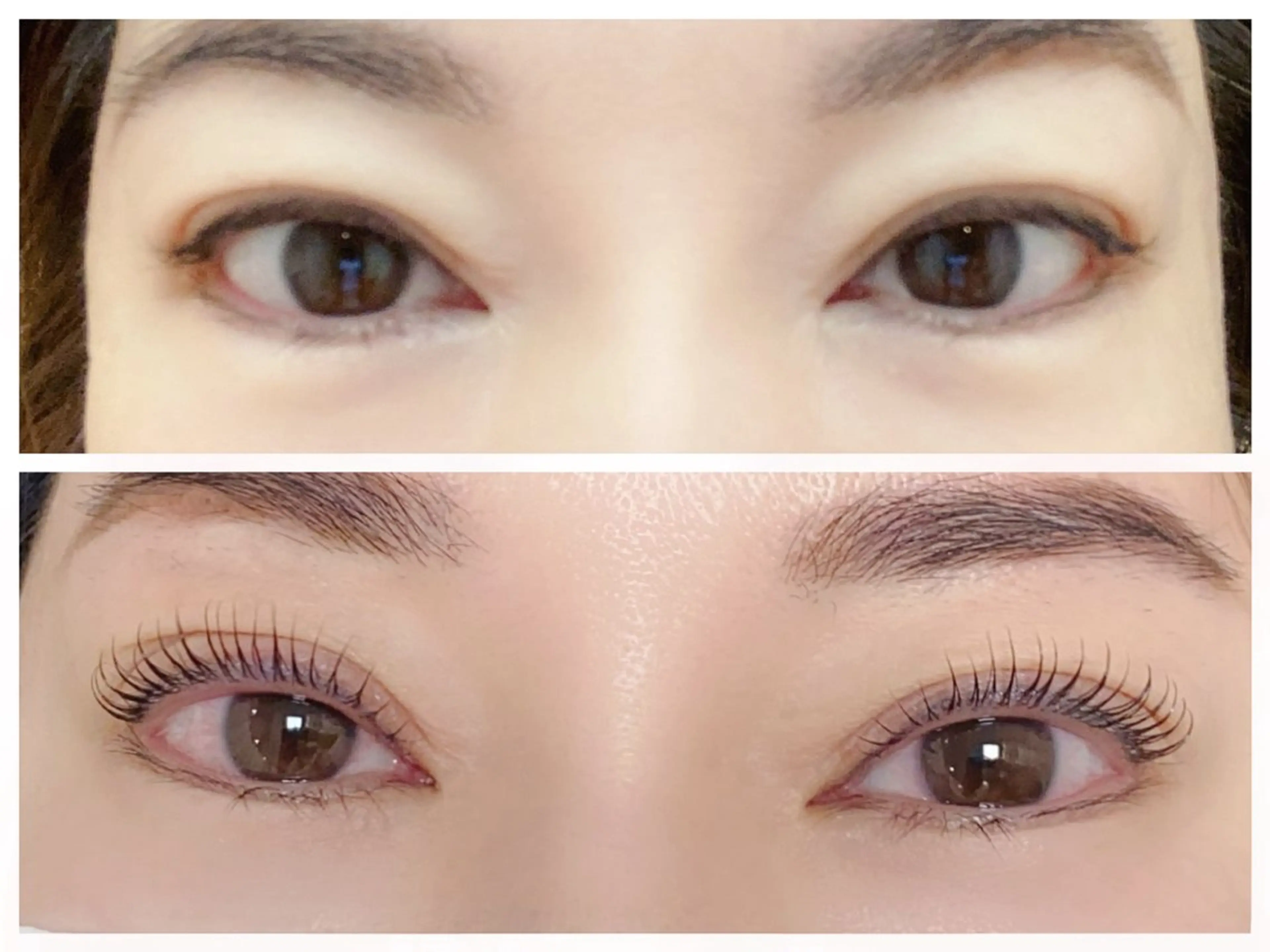 マツエク・マツパ 付け放題 バインドロック 束感まつ毛 カラーマツエク フラットラッシュ マツパ Ｍ salon アイラッシュのマツエク・マツパデザイン