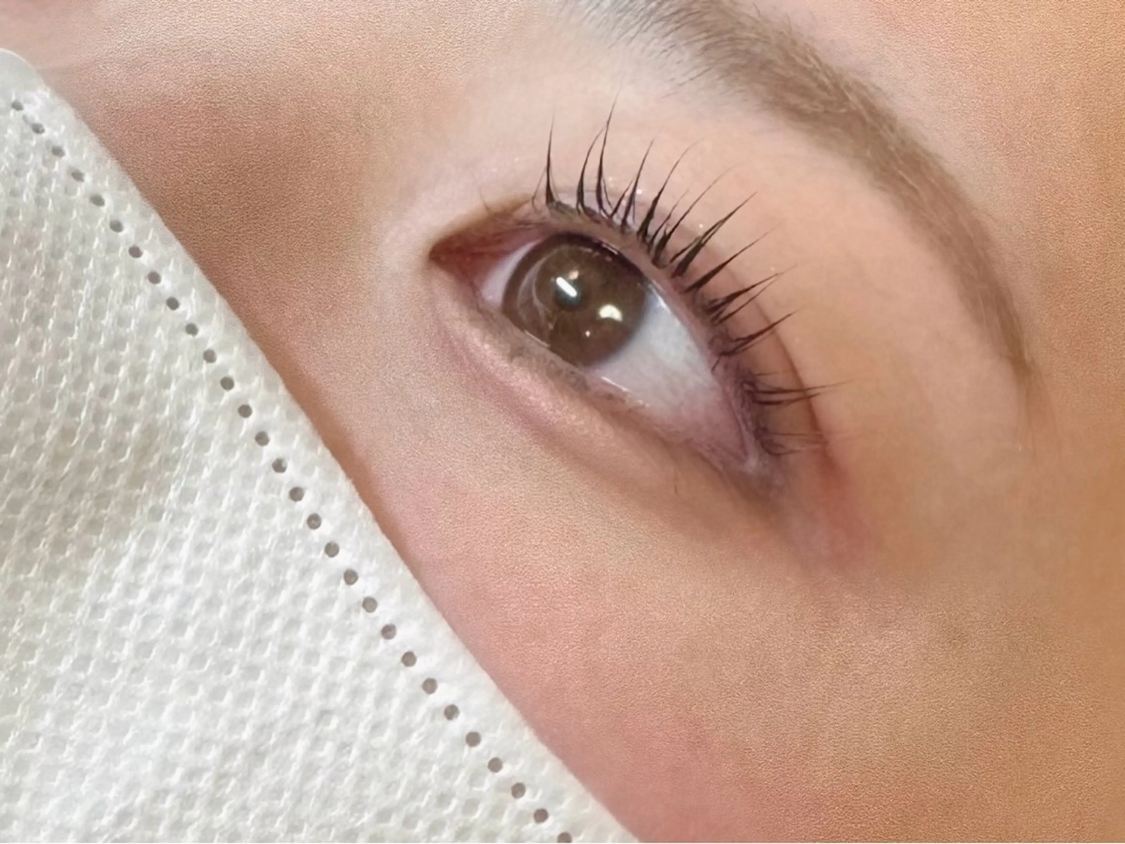 5人限定🤍まつげパーマ[コーティング仕上げ👑]の写真