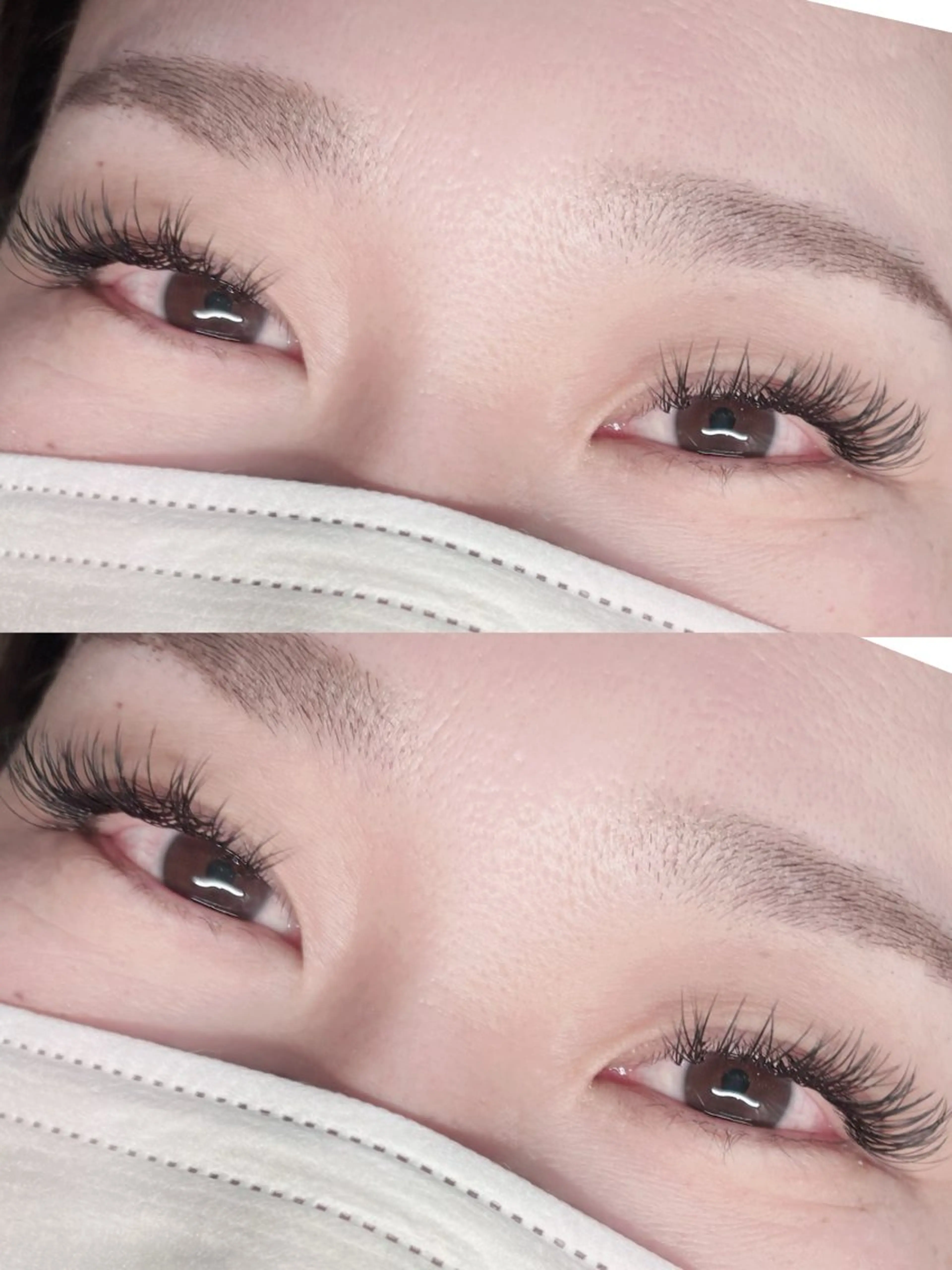 【平日限定】バインドロック100束 LEDの写真