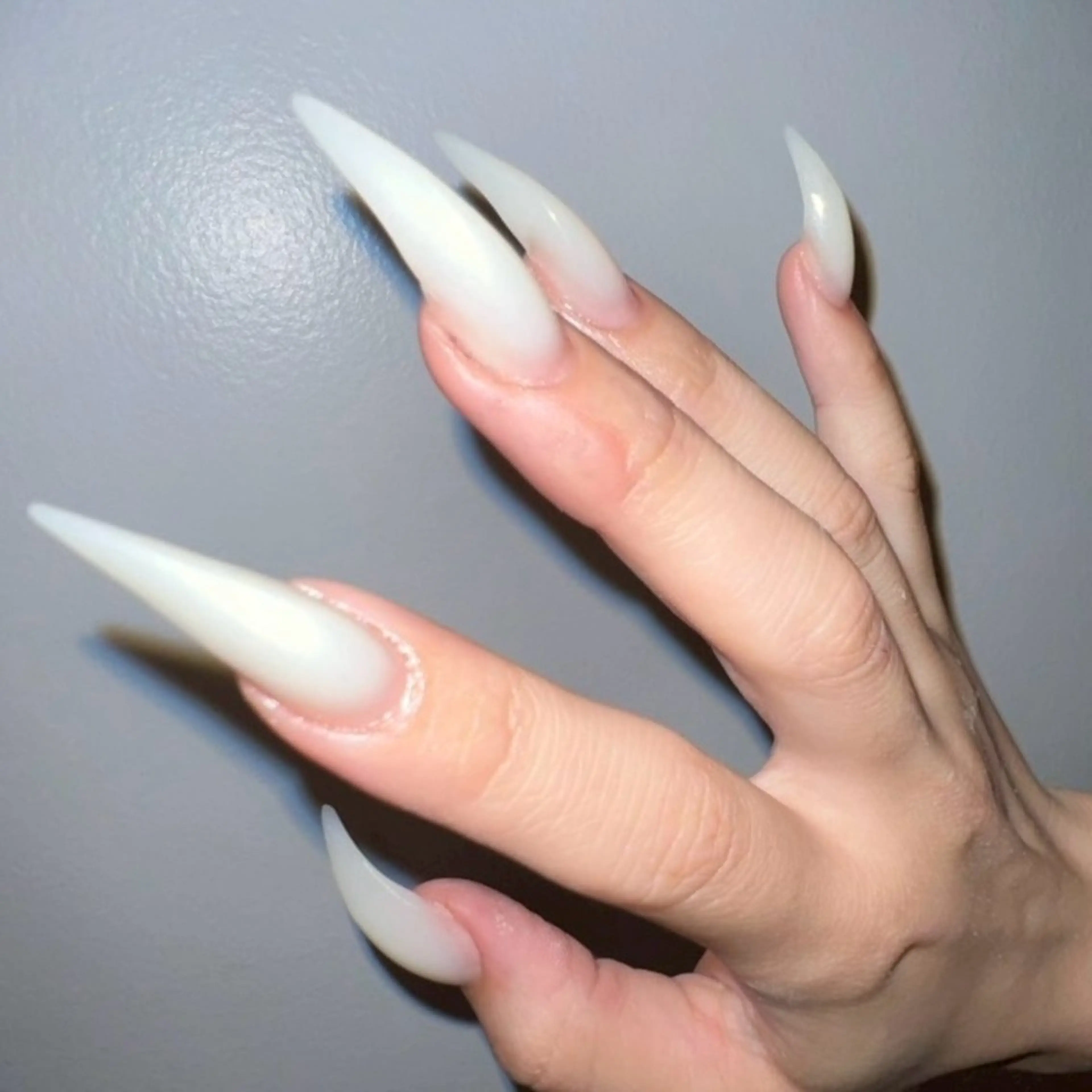 【12月限定】猫爪ネイル🐱🐾💅/15･16日の写真