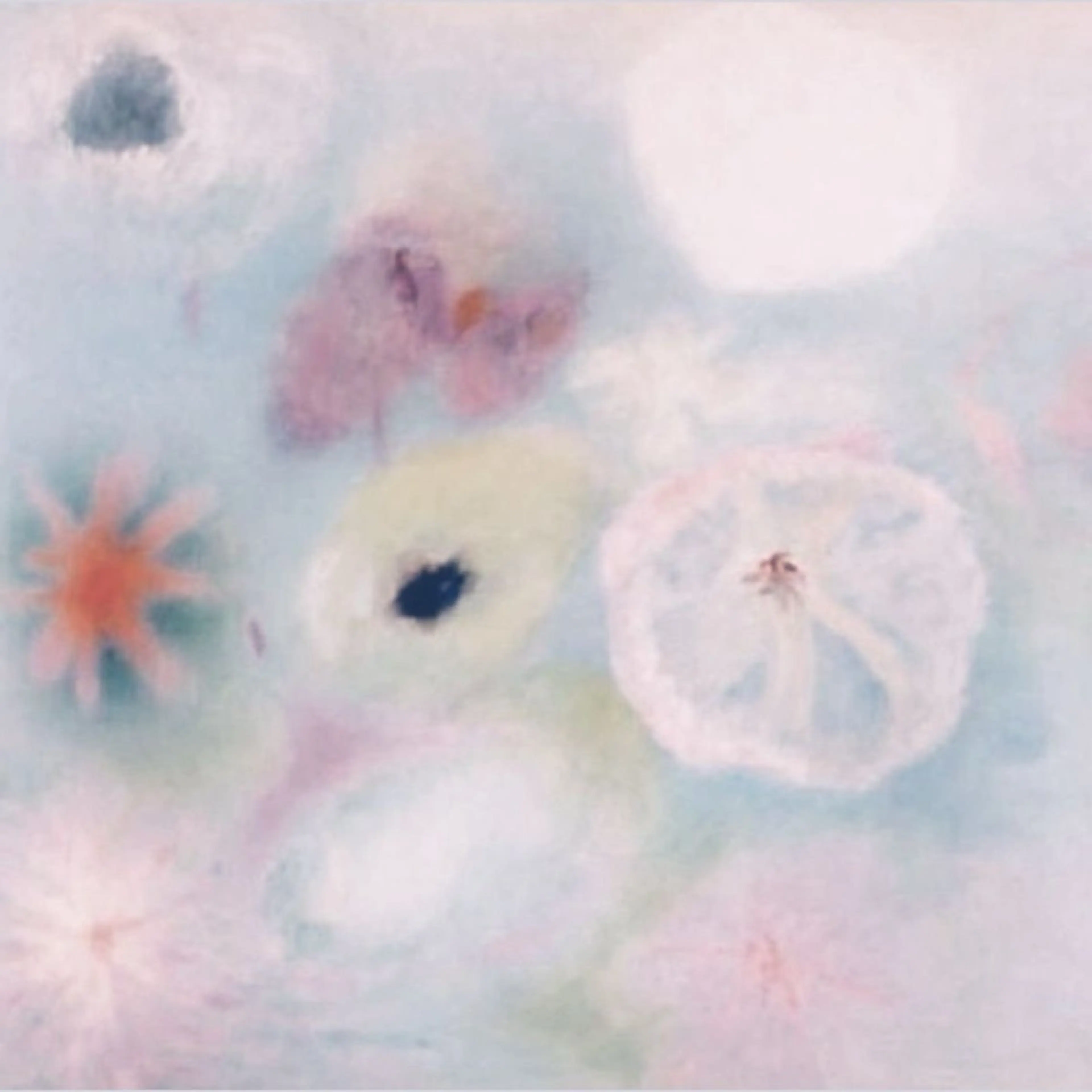 マツエク・マツパ Yuna ［ユウナ］のマツエク・マツパデザイン