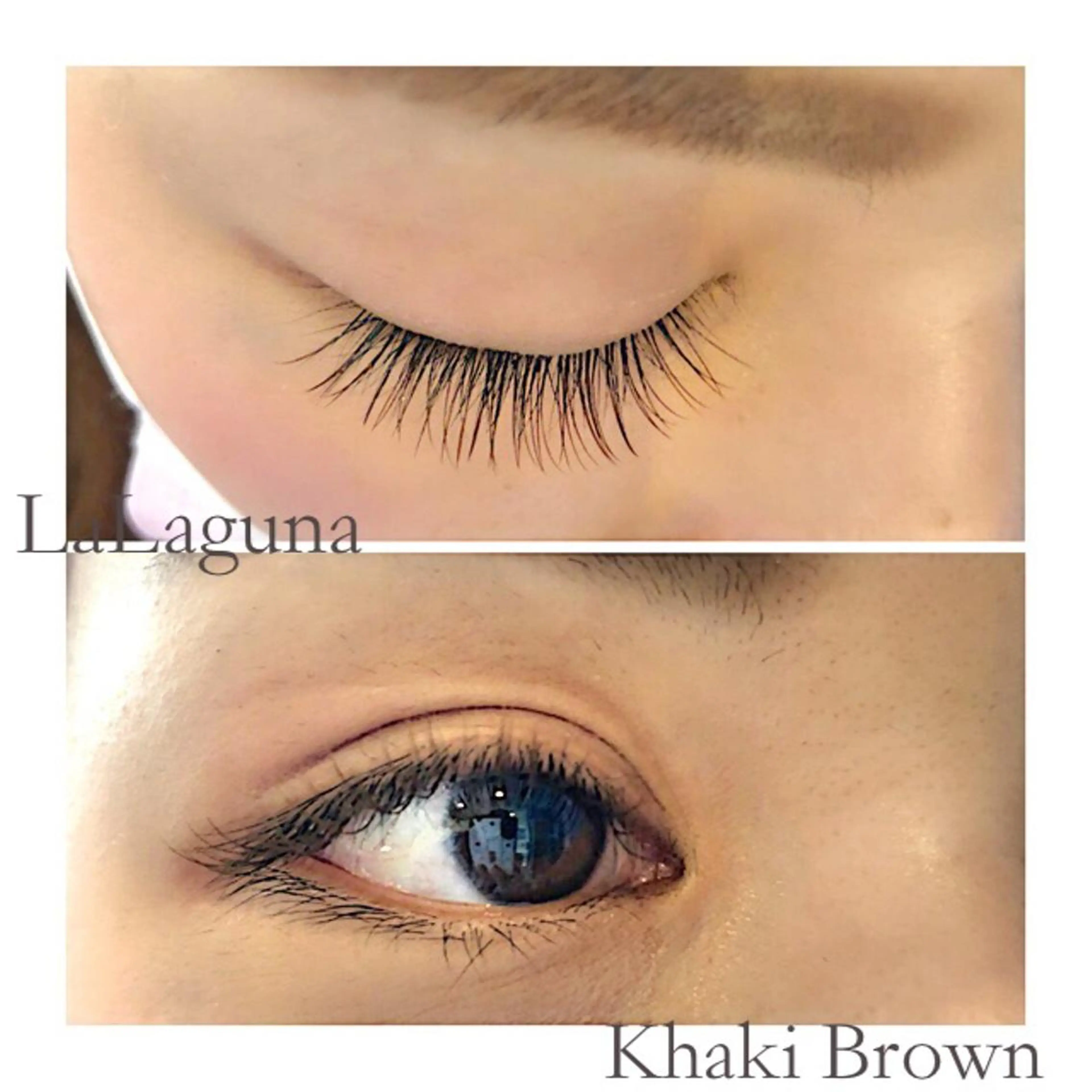 カラーエクステ 全体(各コースに追加)の写真