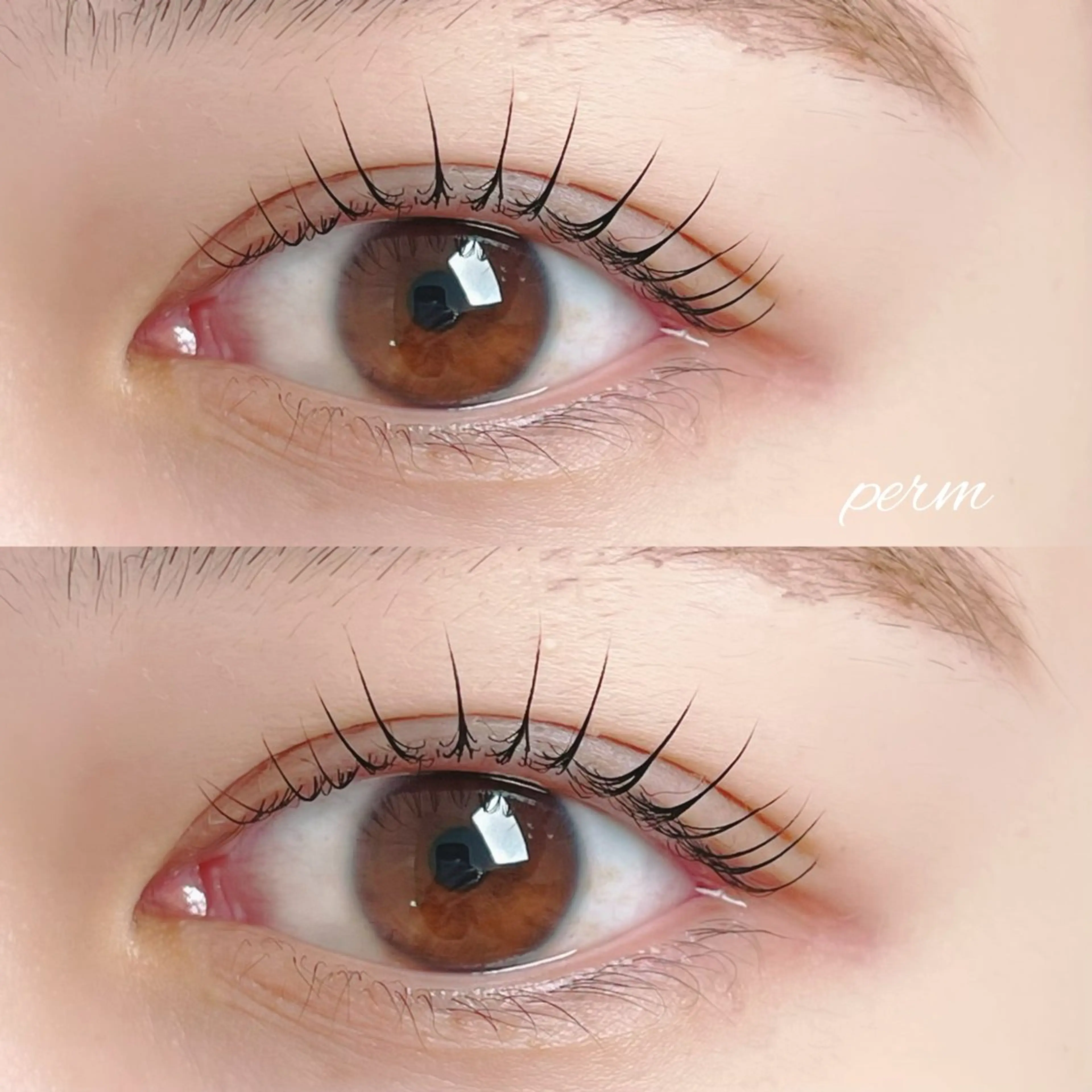 マツエク・マツパ muse momoのマツエク・マツパデザイン