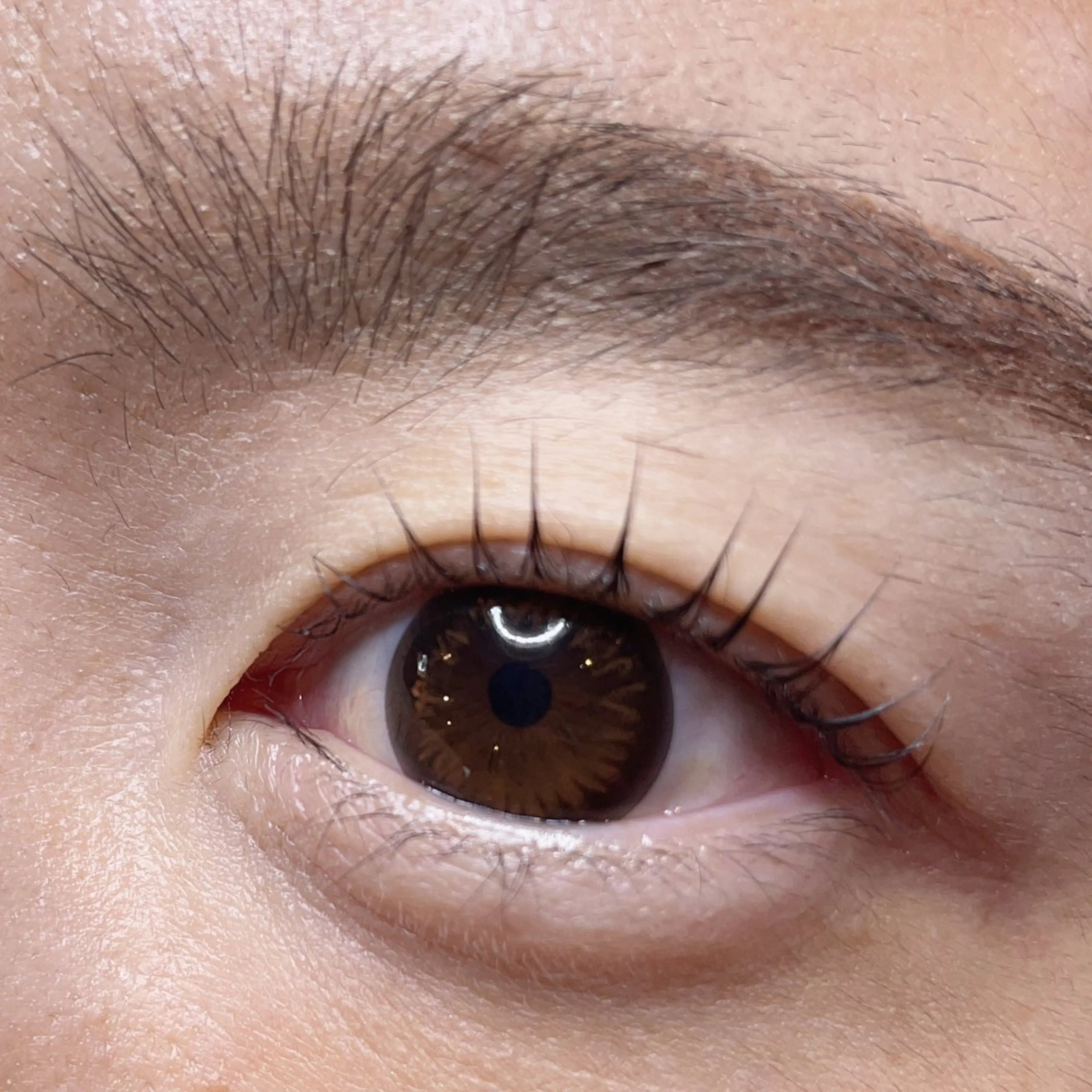 マツエク・マツパ 長谷川 萌のマツエク・マツパデザイン