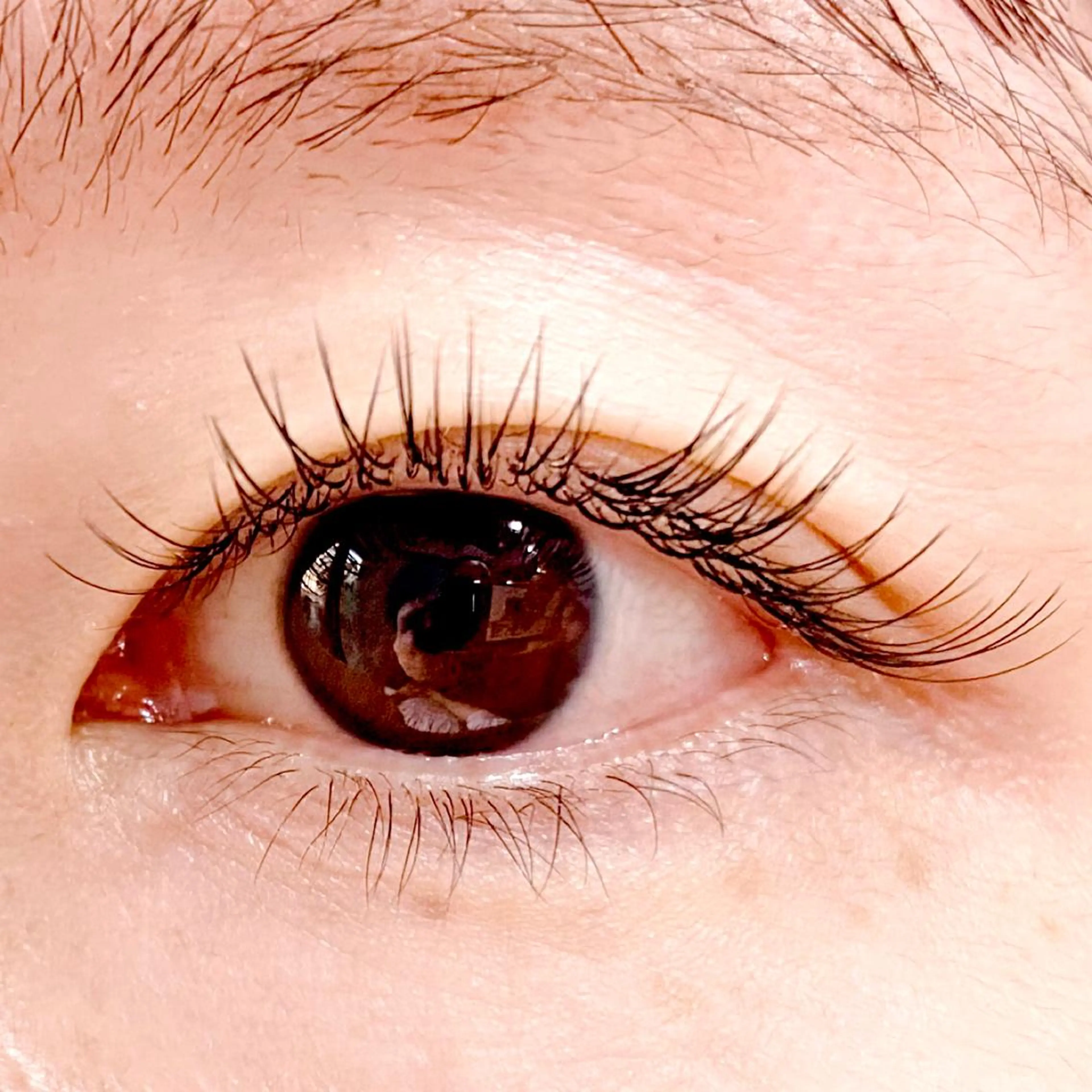 マツエク・マツパ shine on 鈴木さえこのマツエク・マツパデザイン