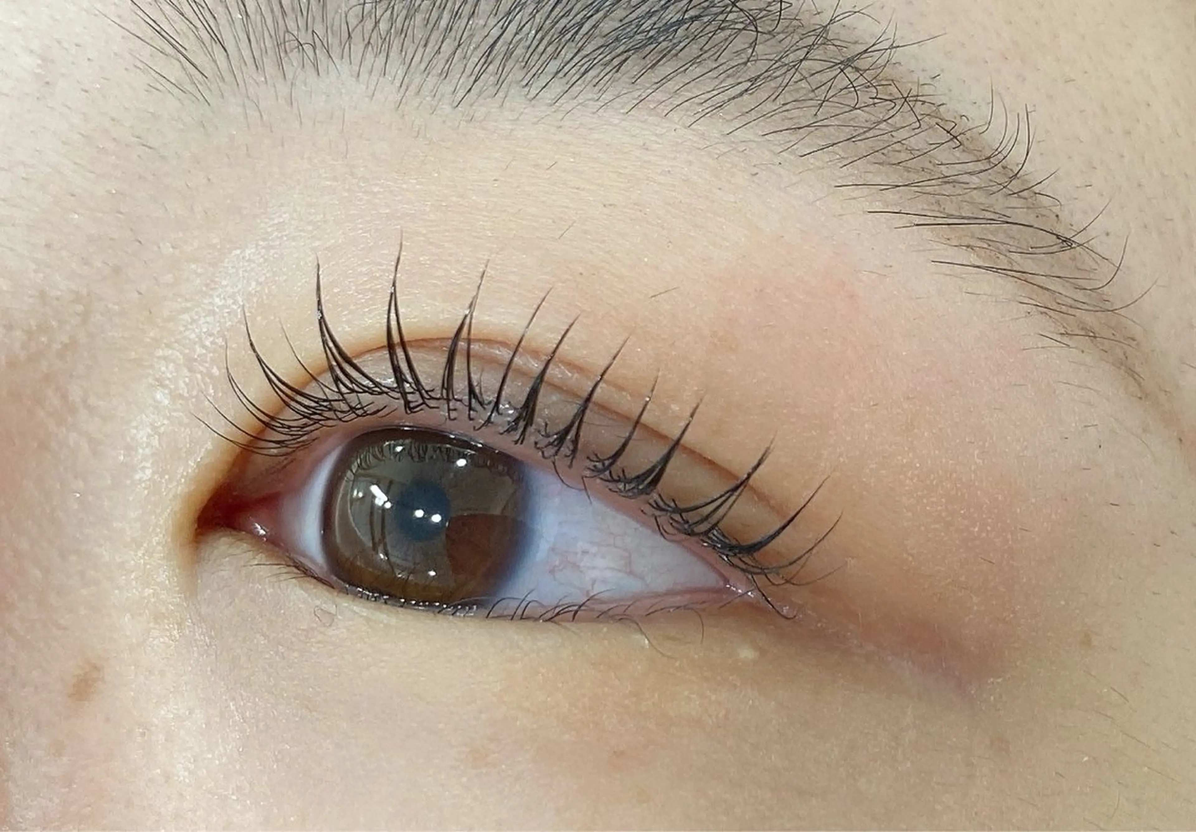 マツエク・マツパ まつげパーマ マツパ 須貝 スガイの眉毛・アイブロウイメージ