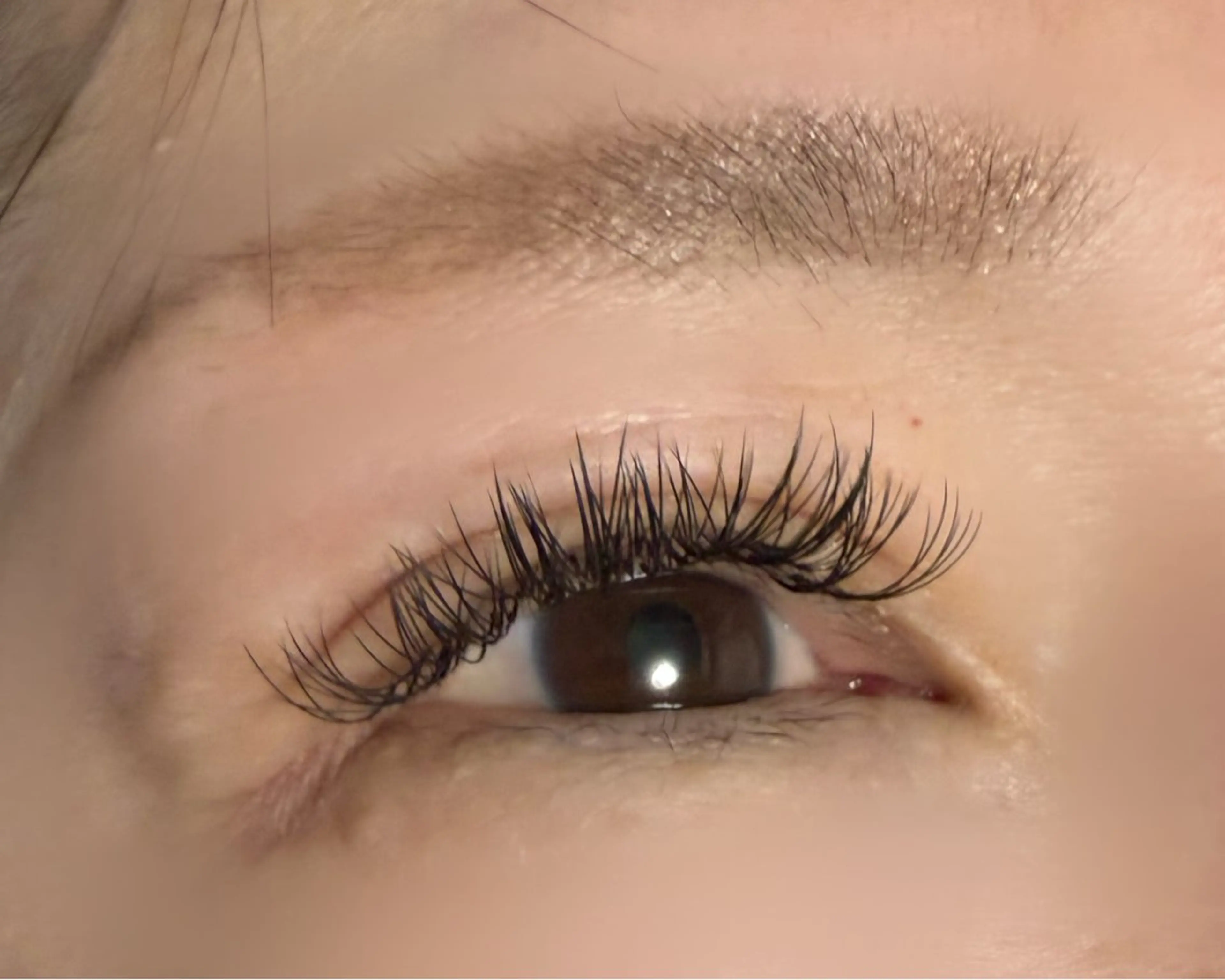 【高持続】ダブルフラット50セット🖤モチ◎の写真