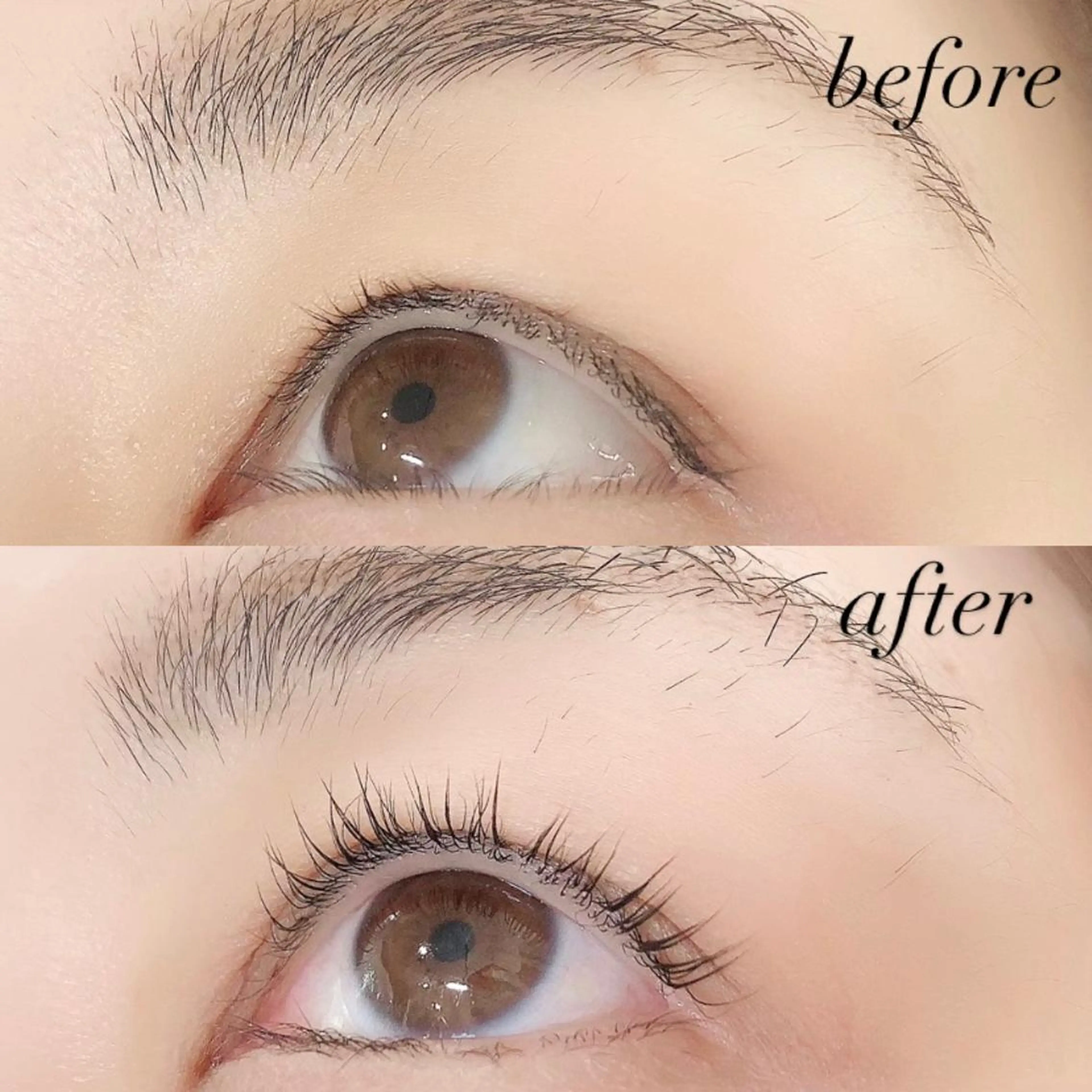 マツエク・マツパ マツパ Lanhr所属・【Lanhr】 🕊aya🕊のマツエク・マツパデザイン