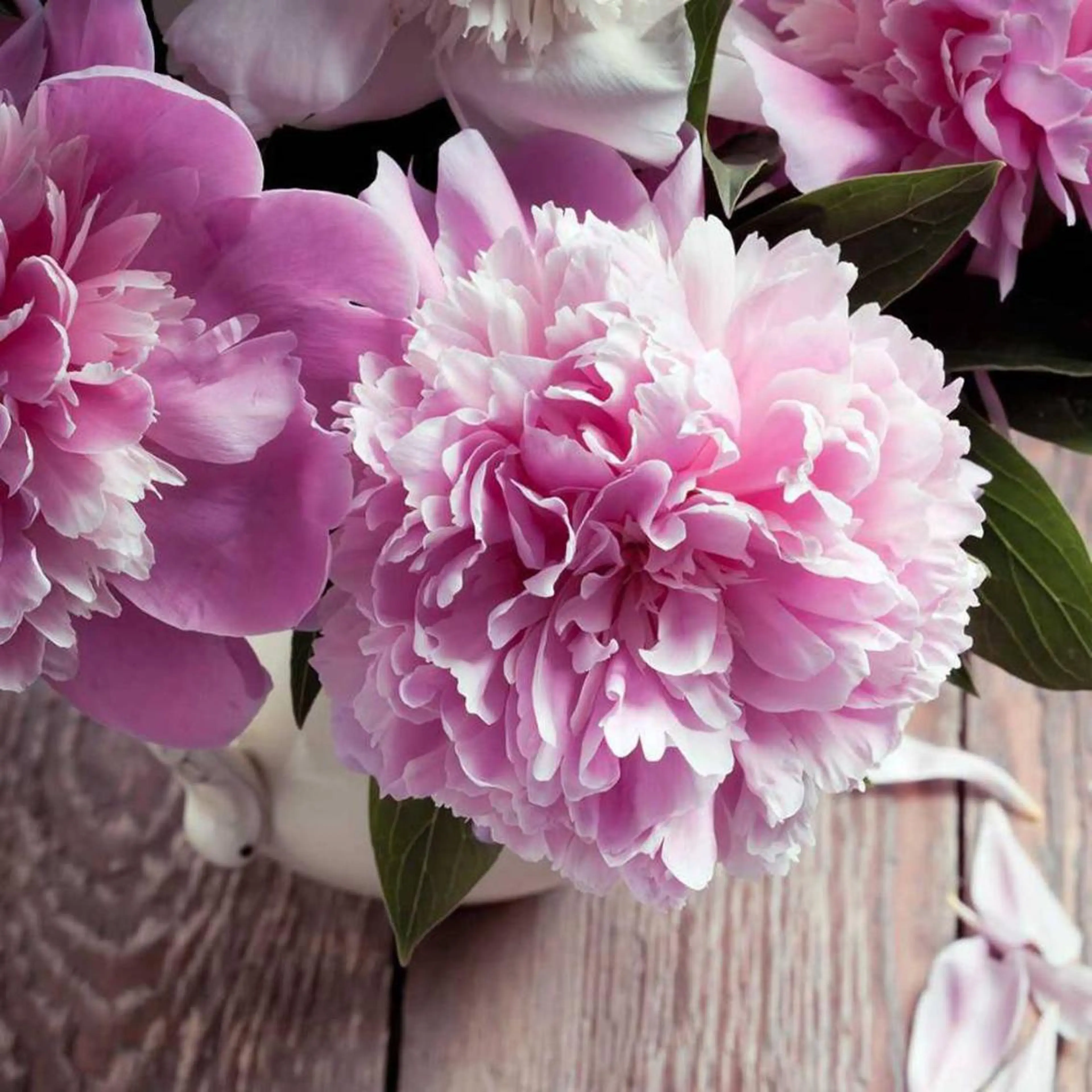 リピーター様&コース消化専用の写真