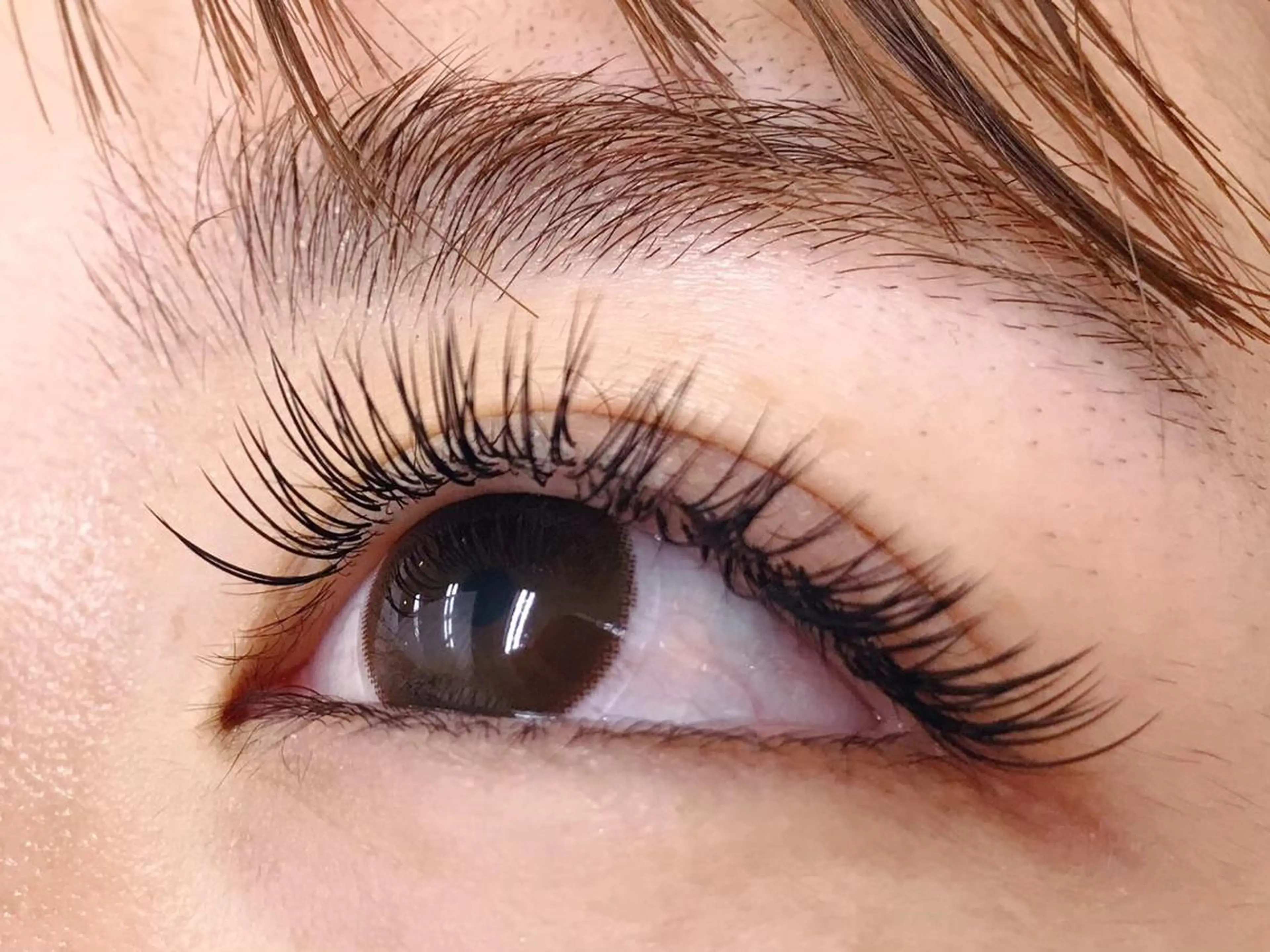 マツエク・マツパ マツエク プラスアイ 蒲田西口店のマツエク・マツパデザイン