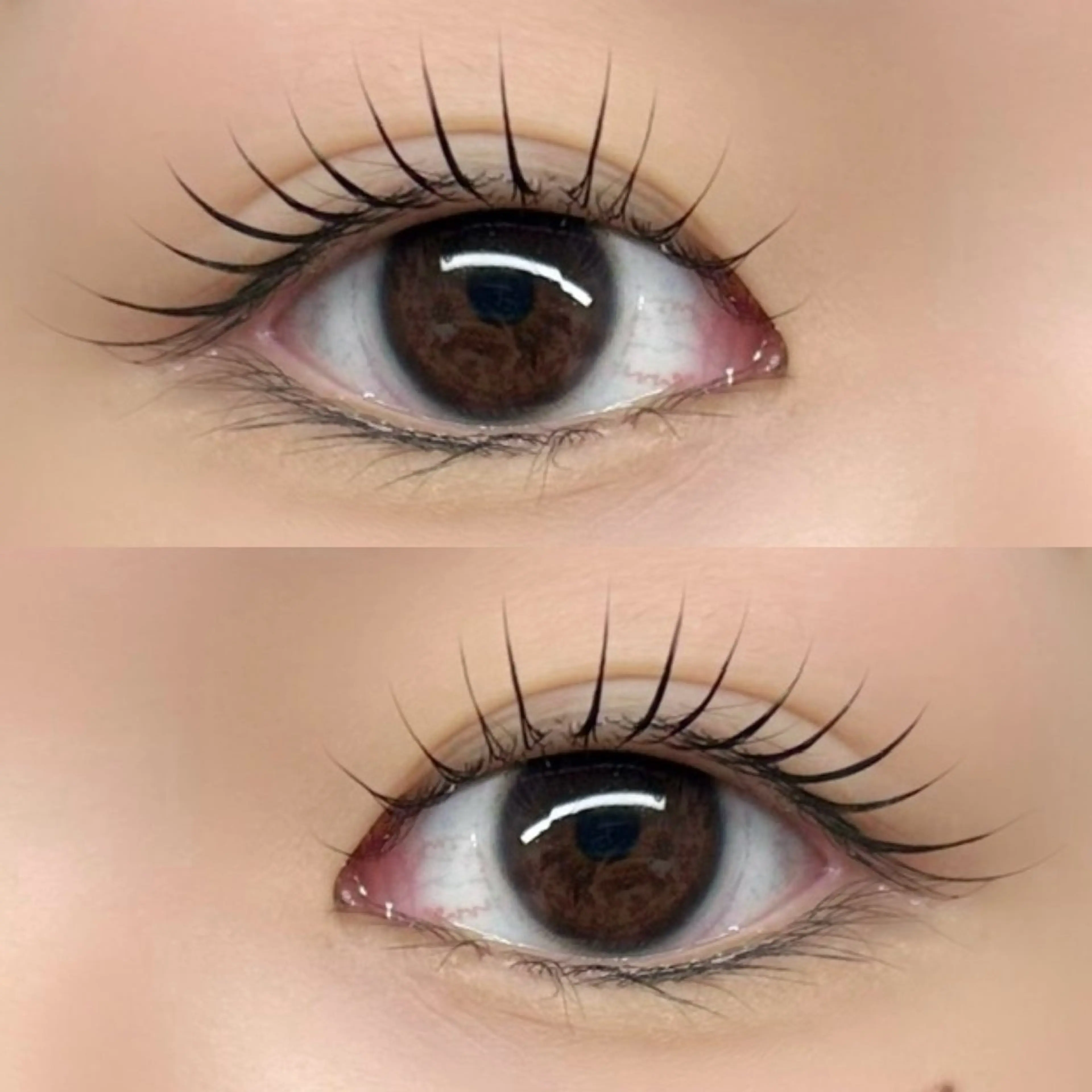 高濃度TR×ラッシュリフトコーティング仕上げ付 ¥6,500の写真