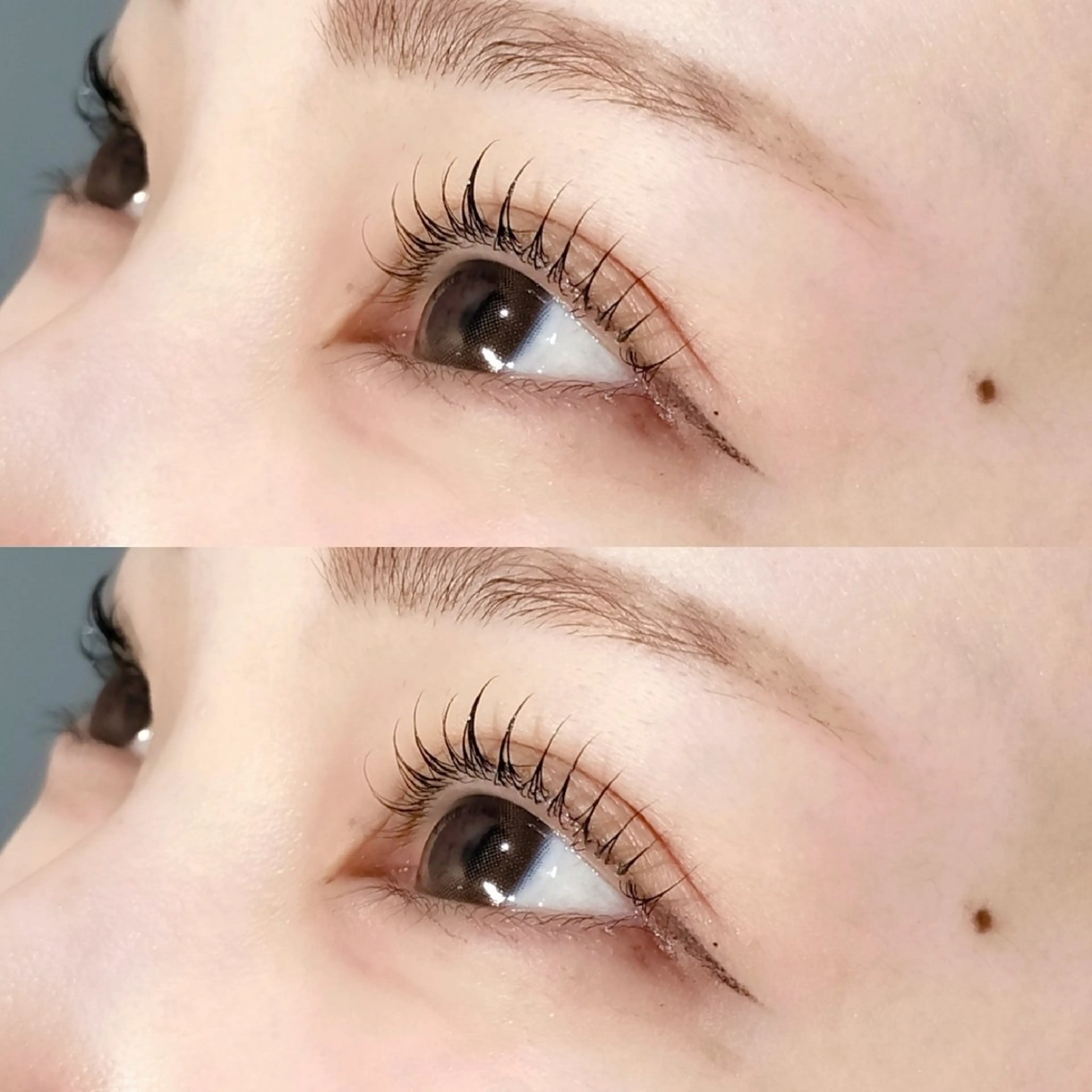 【新規限定】まつ毛パーマ/パリジェンヌ(束感コーティング付き)の写真