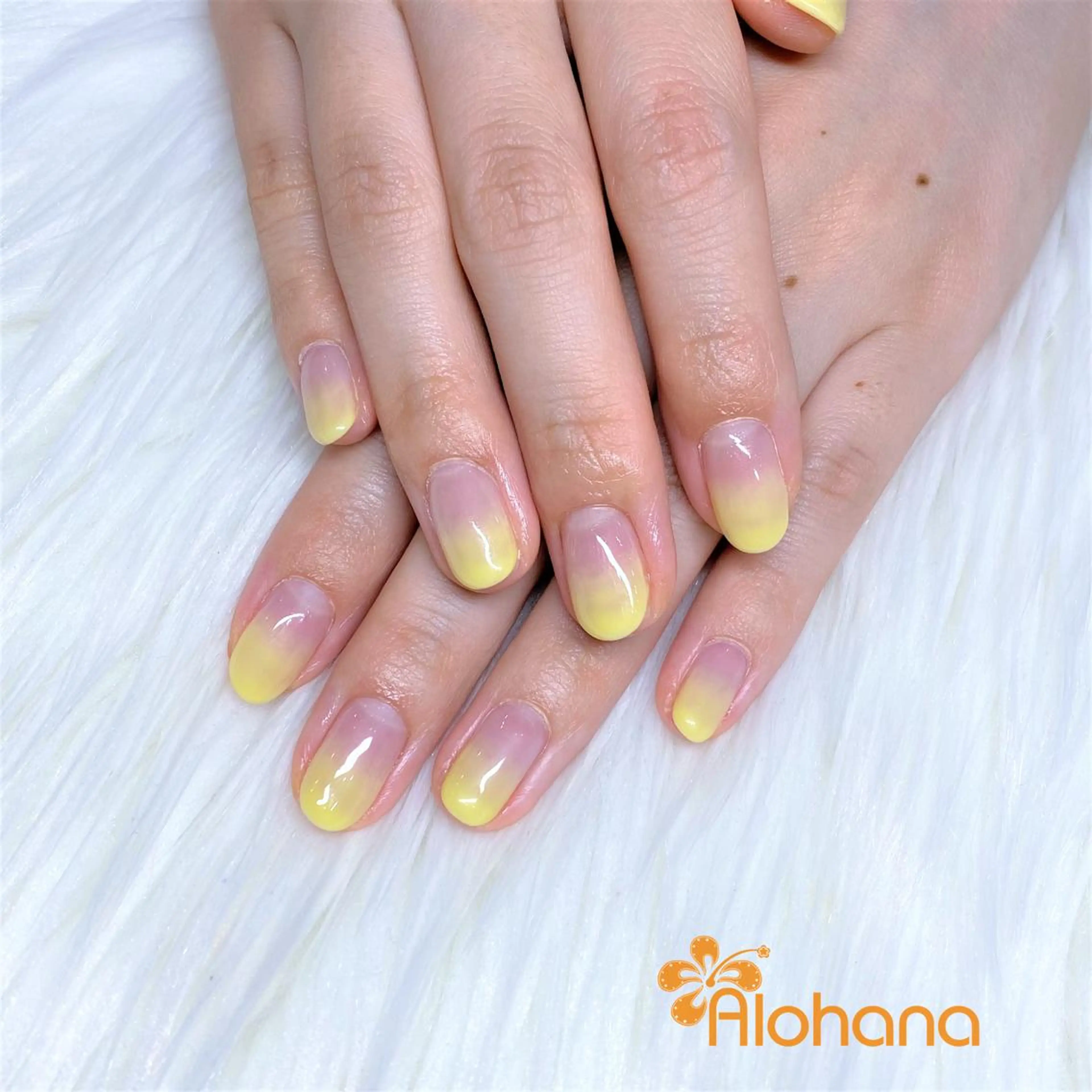 ネイル グラデーション Alohana所属・Alohana Minaのネイルデザイン