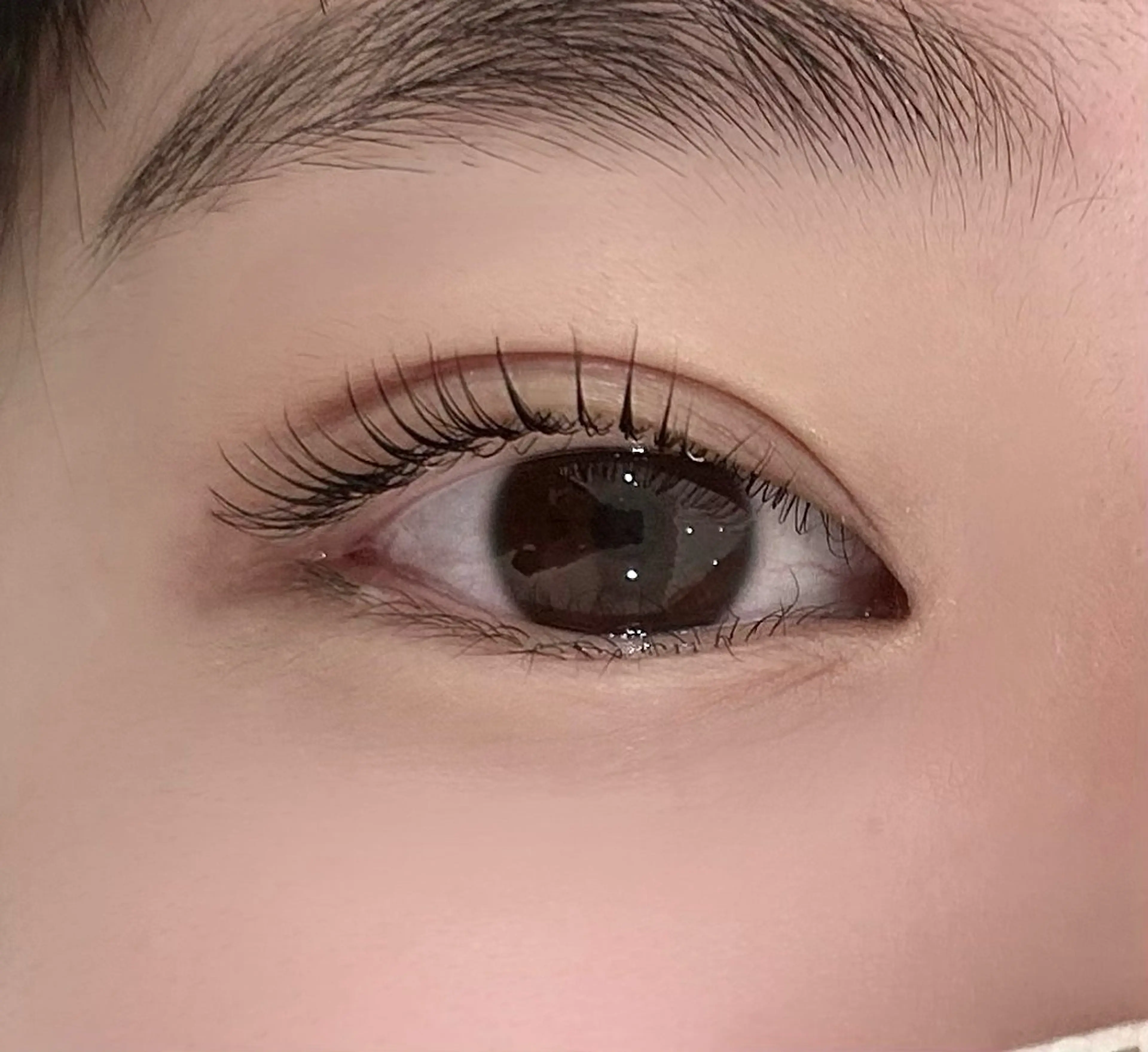 マツエク・マツパ Fiara 四条烏丸店所属・Fiara四条烏丸店 三浦やすみんのマツエク・マツパデザイン