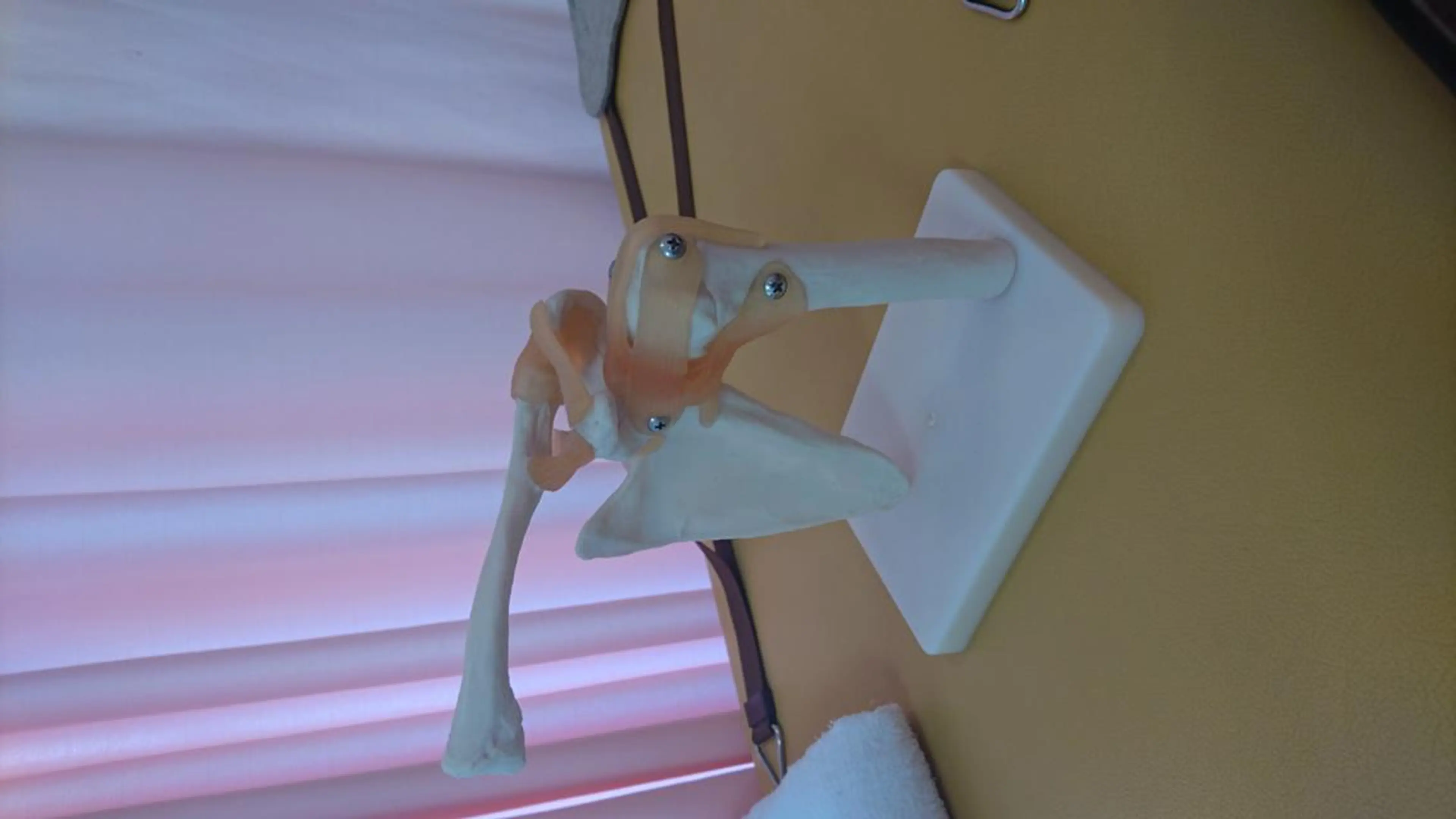 同心整骨院 美容鍼・整体・小顔のエステ・リラクイメージ