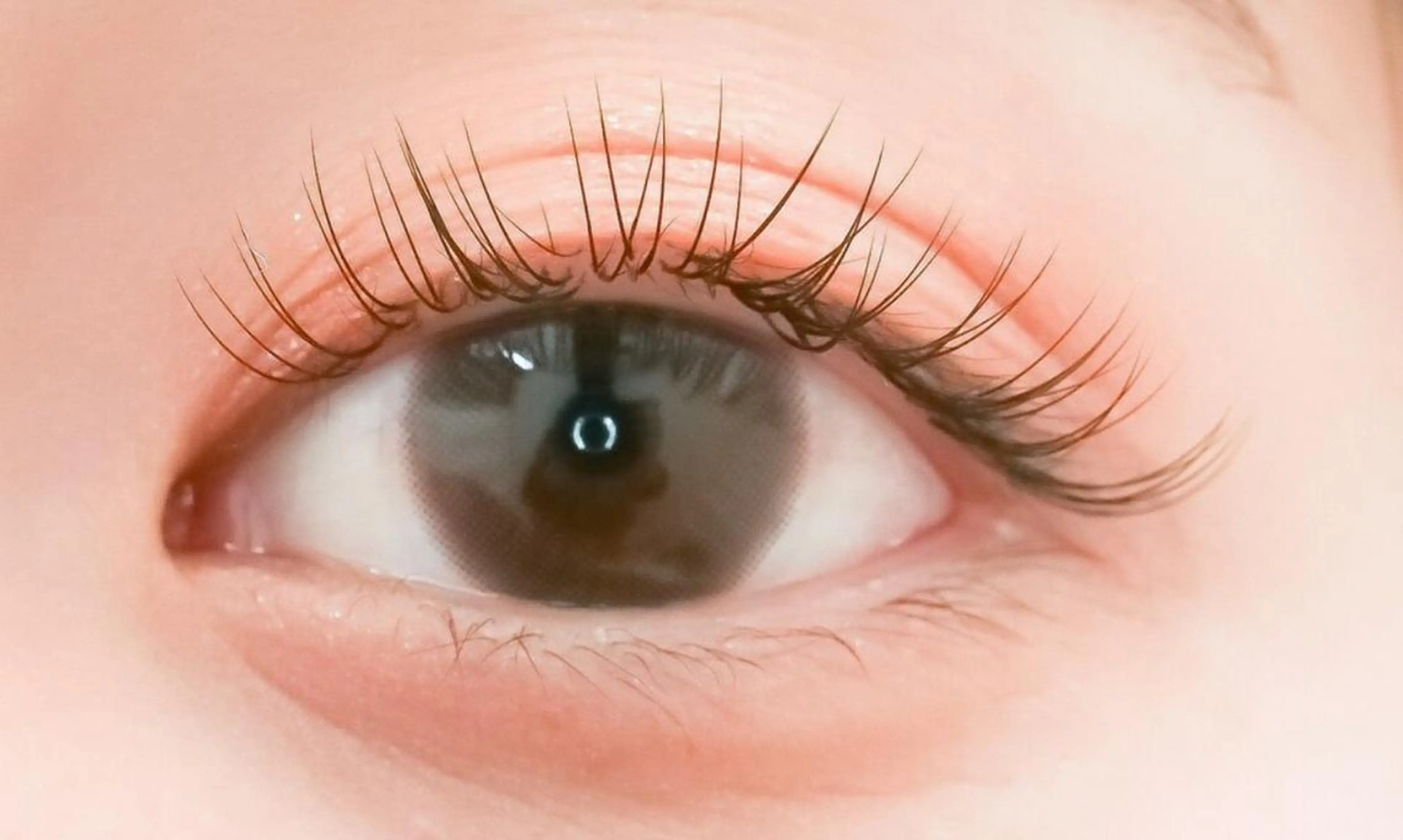 フラットラッシュ80本の写真