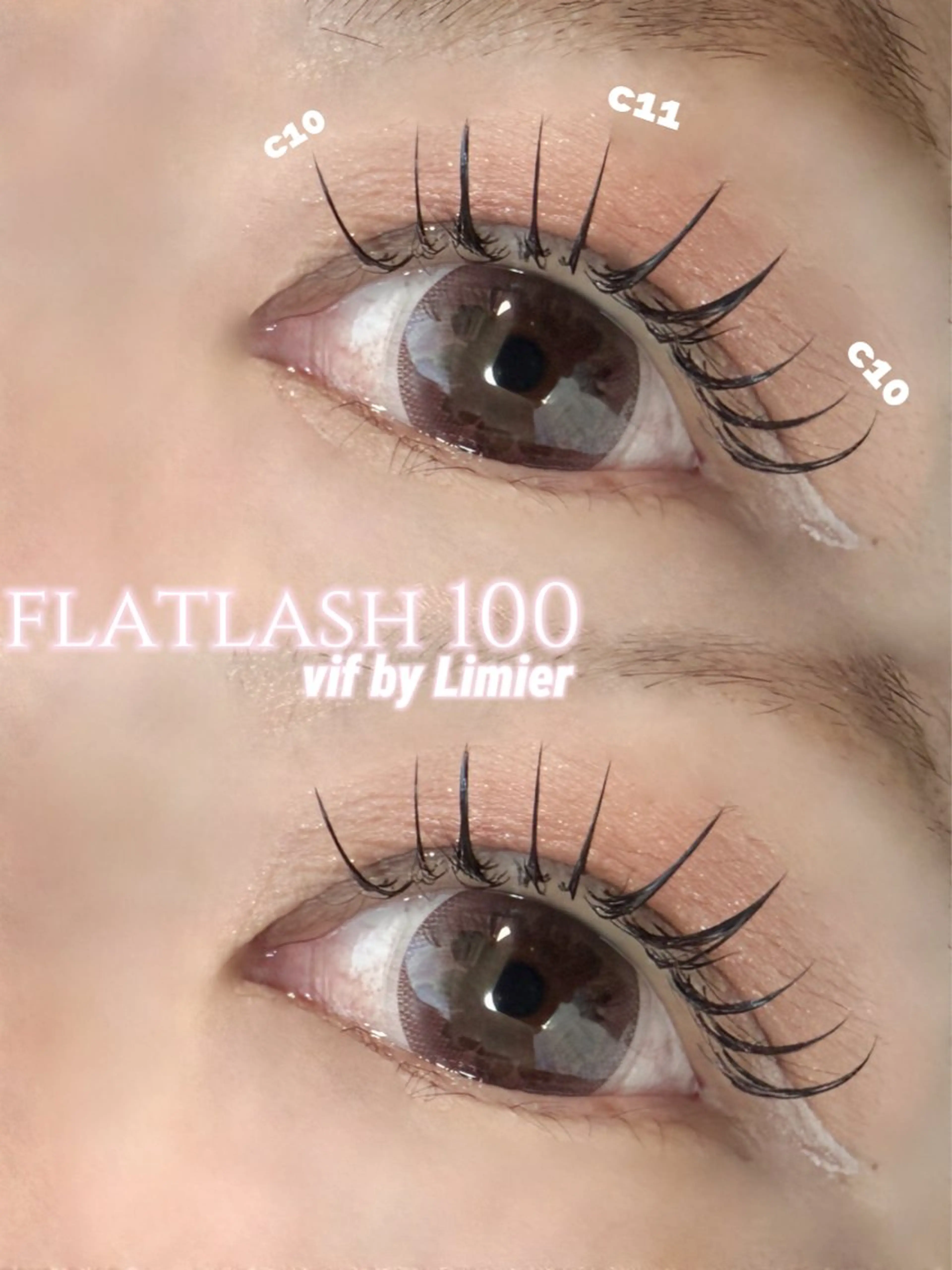 新規限定《フラットラッシュ100本》の写真