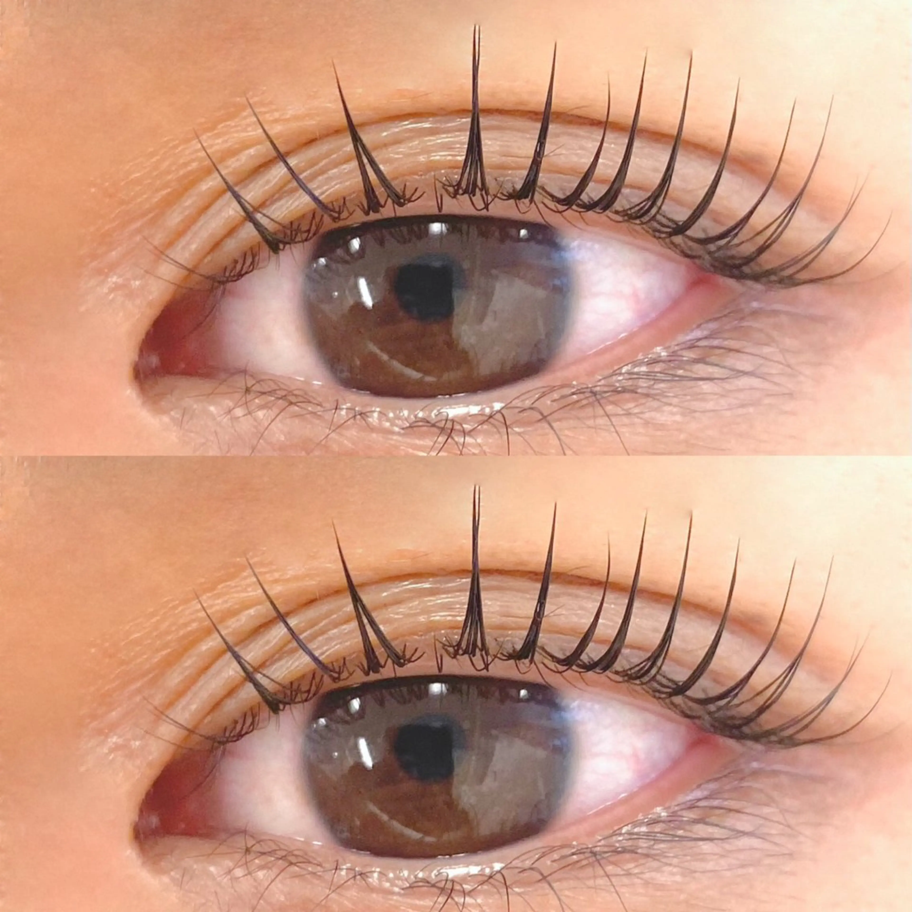 マツエク・マツパ マツパ Bianca横浜関内 NOSHITA𓆉のマツエク・マツパデザイン