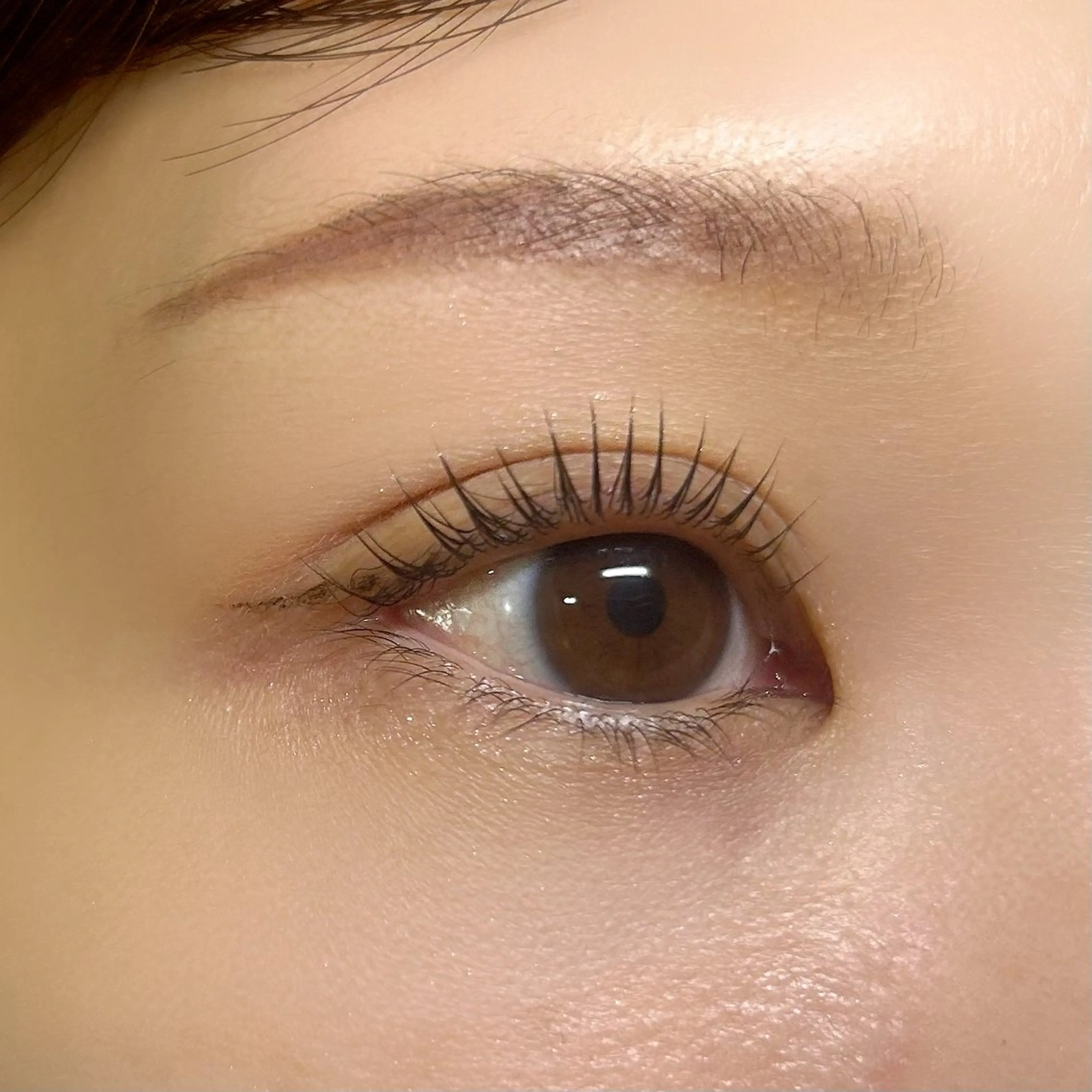 マツエク・マツパ アイリスト fujiwaraのマツエク・マツパデザイン