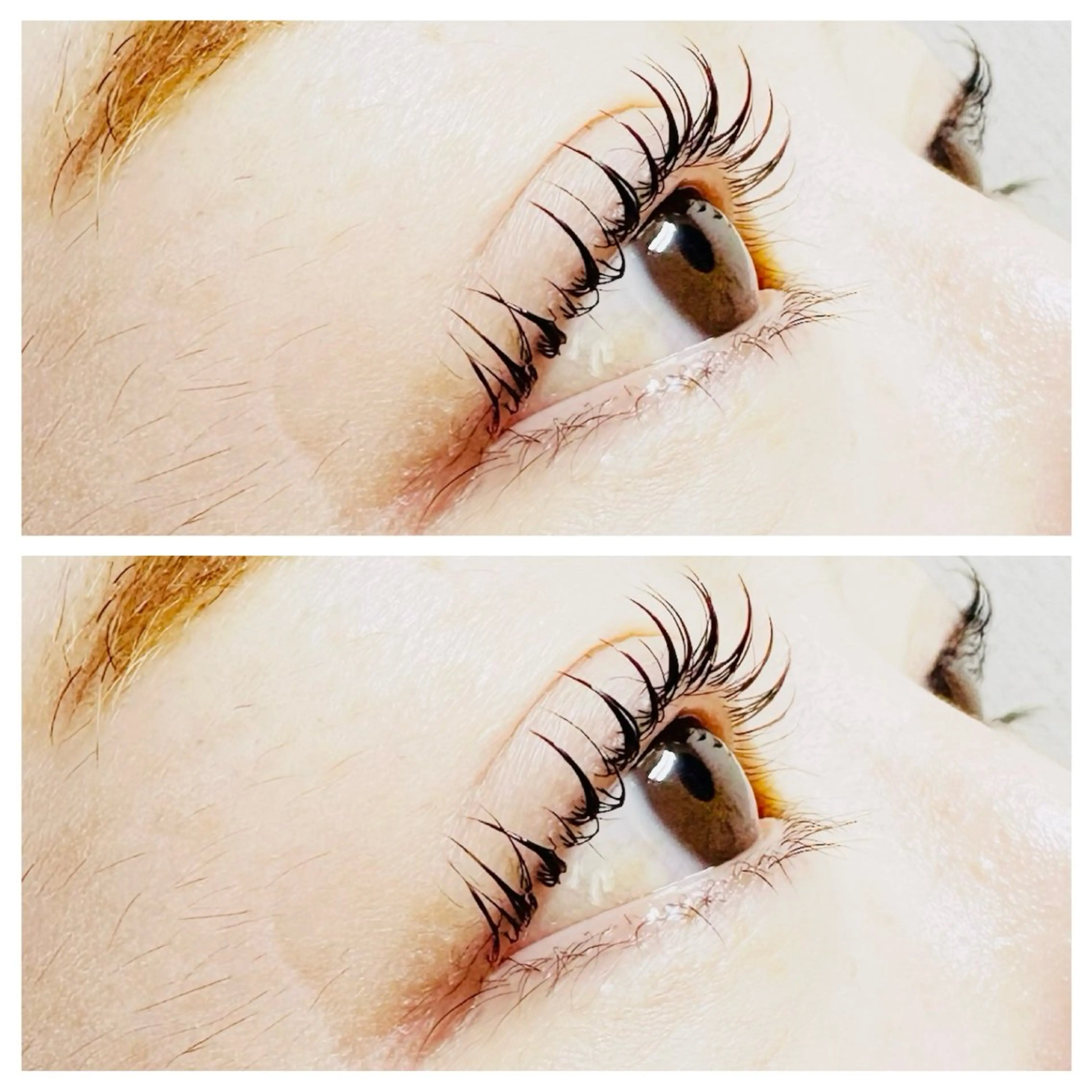 マツエク・マツパ マツパ plume eyelashのマツエク・マツパデザイン