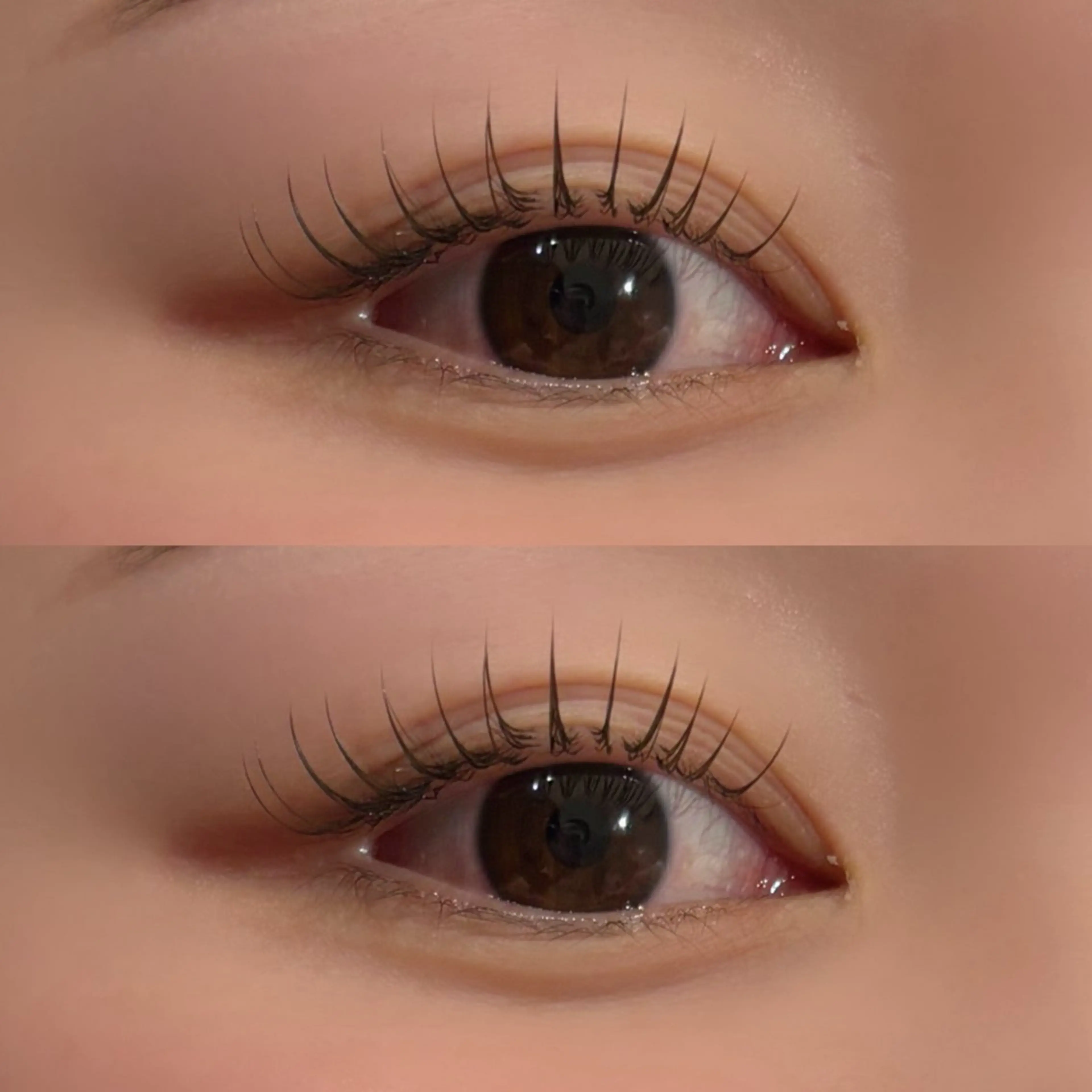 🪄【急募12/2 15:45~】下エク （所要時間45分）⚠︎詳細情報要確認🫧の写真