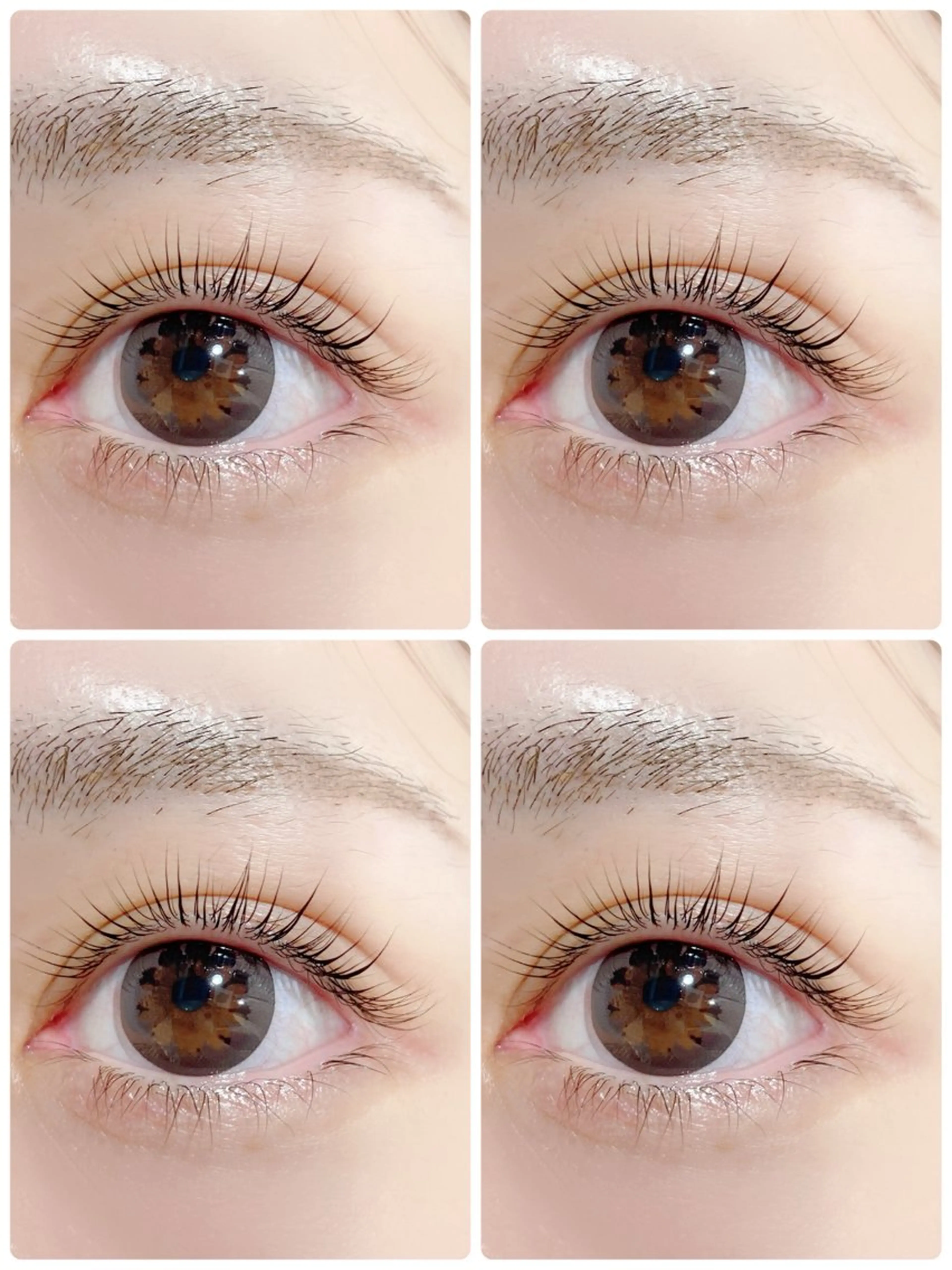 【目元パッチリ🪅】まつ毛パーマ上下🎀の写真