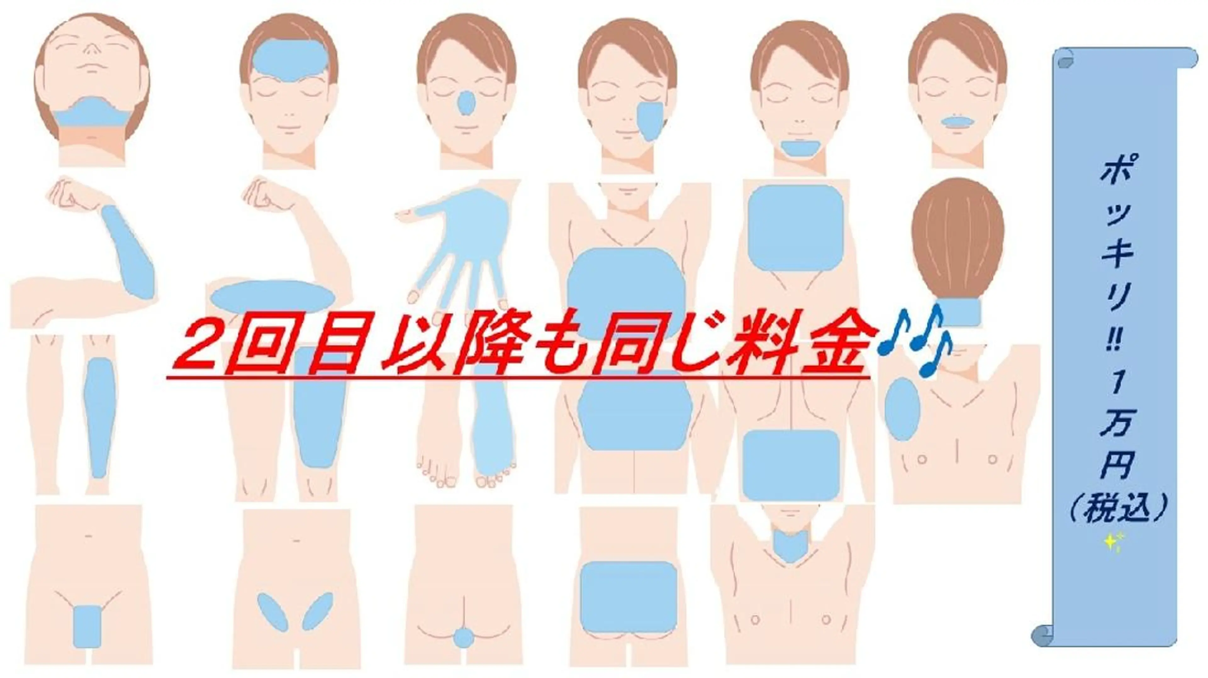 （一番人気🌟）メンズ全身脱毛（顔・VIO含む）の写真