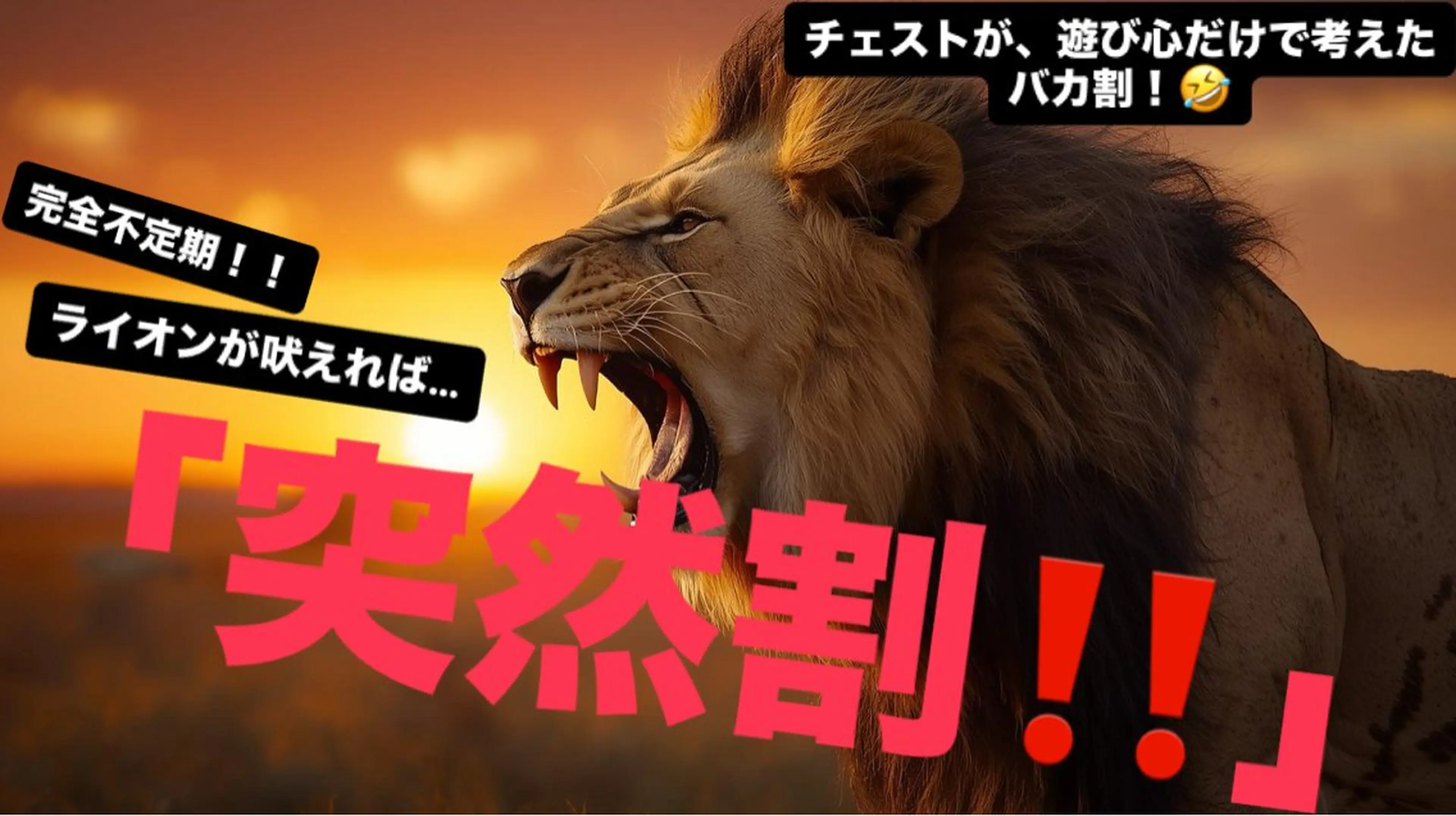 メンズ Mens Total Beauty CHEST(チェスト)所属・腰、肩こり、脱毛、眉 メンズ専門チェストの眉毛・アイブロウイメージ