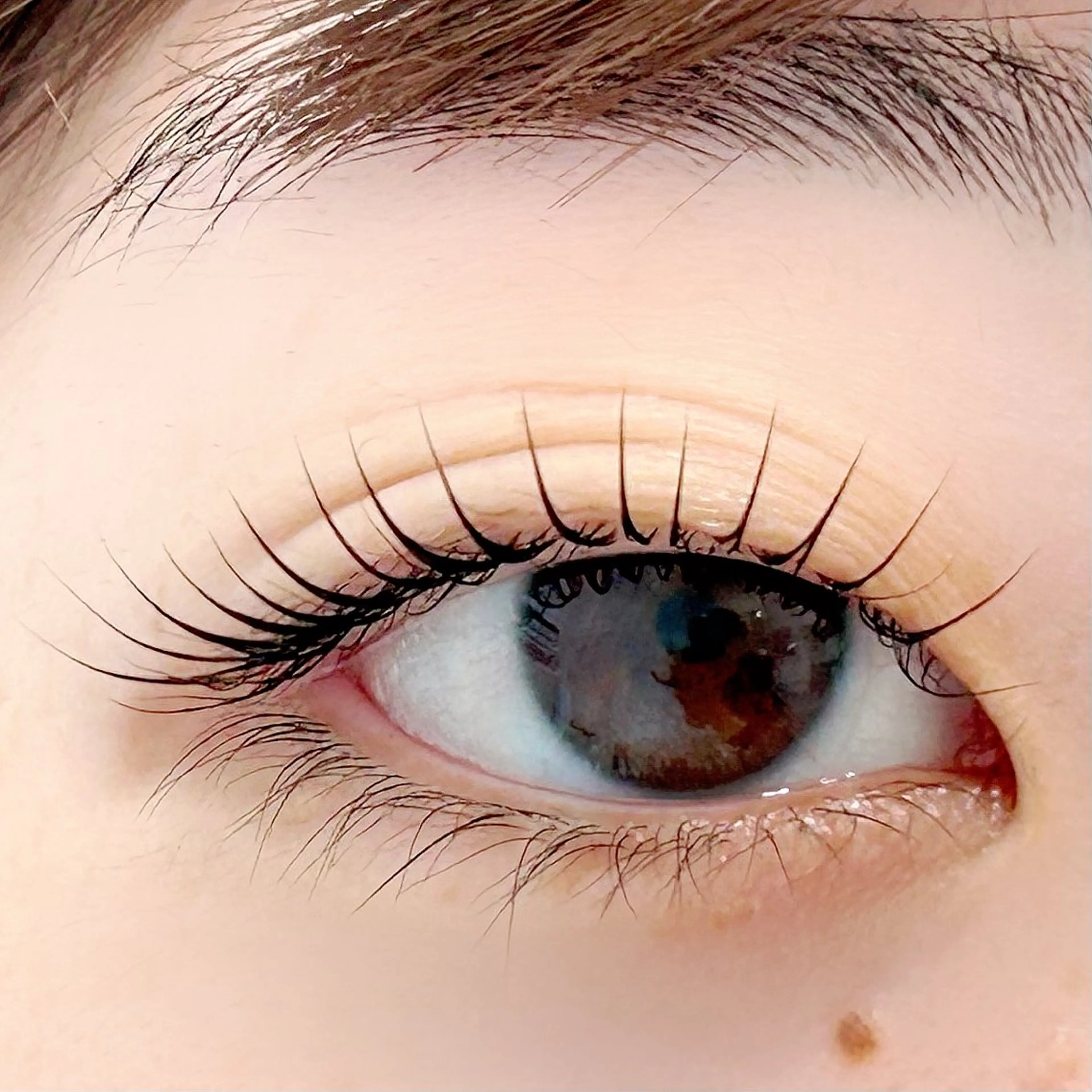 マツエク・マツパ パリジェンヌラッシュリフト 一重×まつ毛パーマ BellFlower Aki（眉・まつげ）のマツエク・マツパデザイン